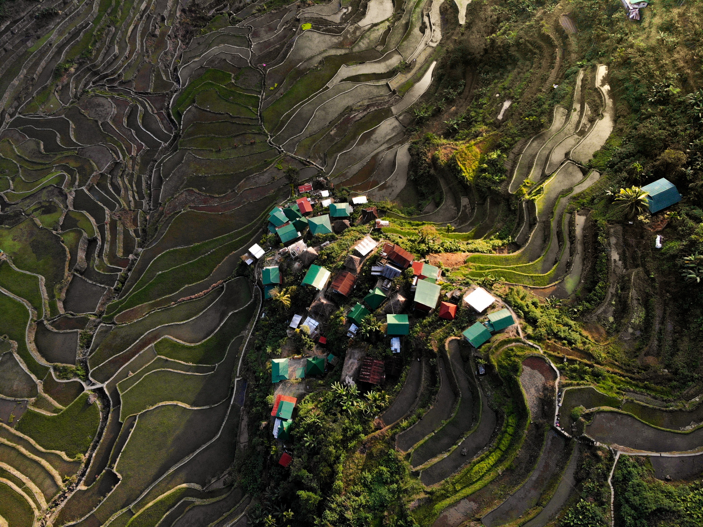 Batad Terraces, The Philippines  Aerial Photography.jpeg