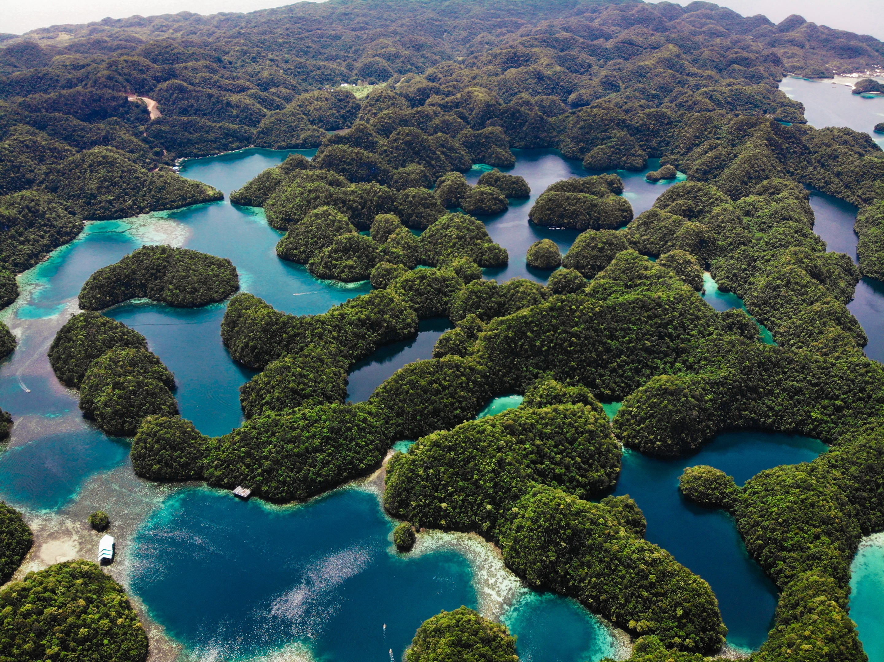 Sohoton Cove, Siargao, The Philippines  Aerial Photograph 1.jpeg