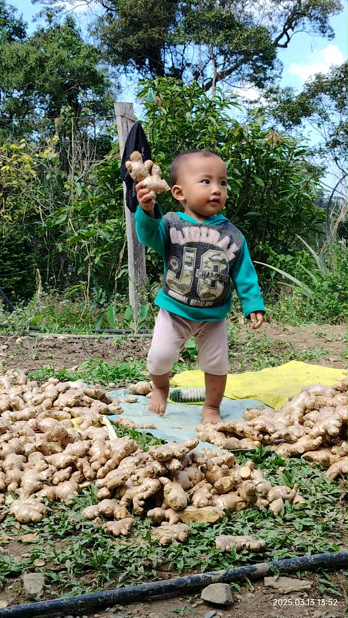 My nephew modeling our ginger 😁