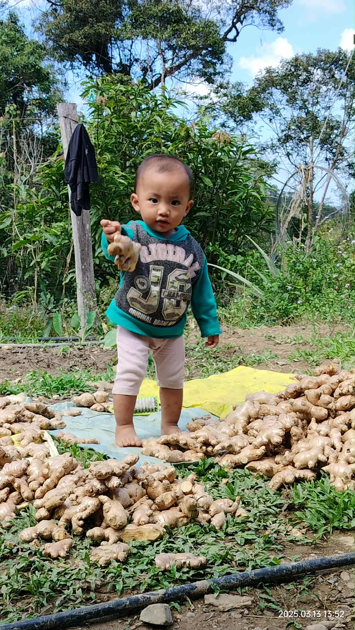 My nephew modeling our ginger
