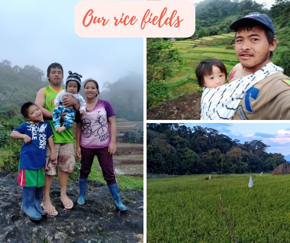 Visiting our rice fields where we grew up. The kid is my child during my teenage years. hotos are mine edited it in canva