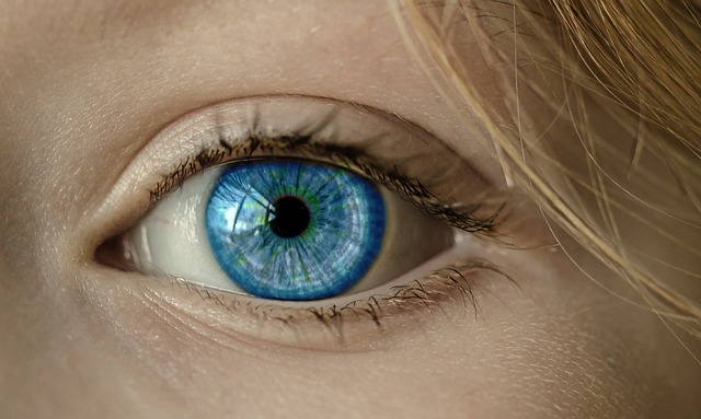 eye-g05cfe4e6a_640.jpg