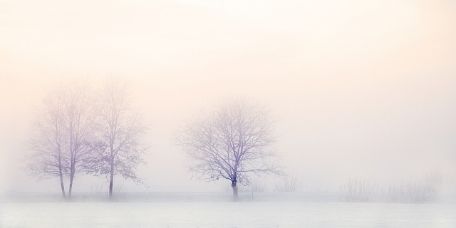 winter-landscape-g7f2f63424_640.jpg