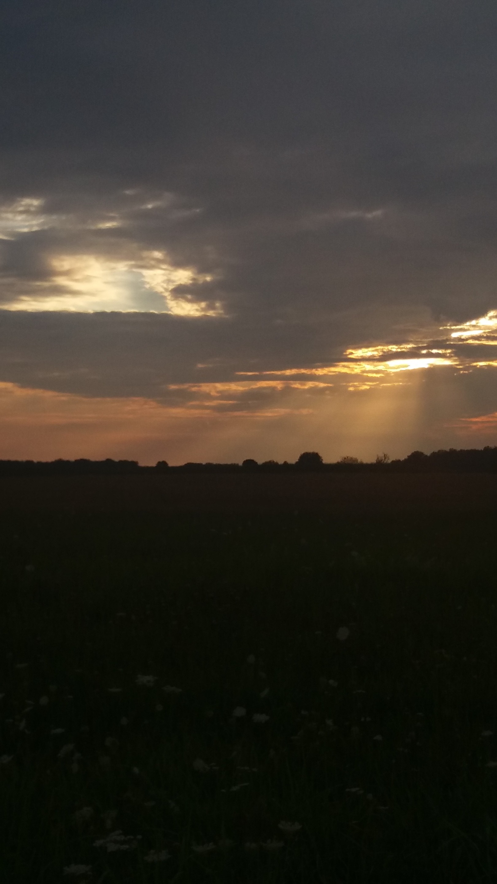 20160730_203649.jpg