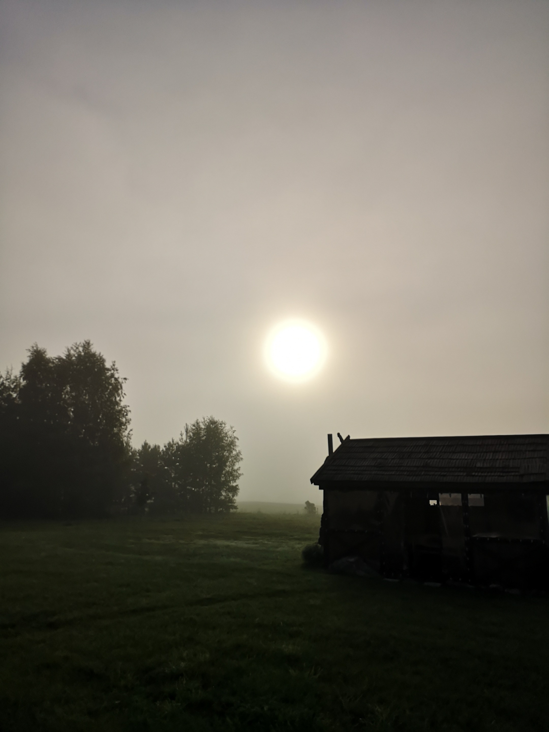 IMG_20190810_073605.jpg