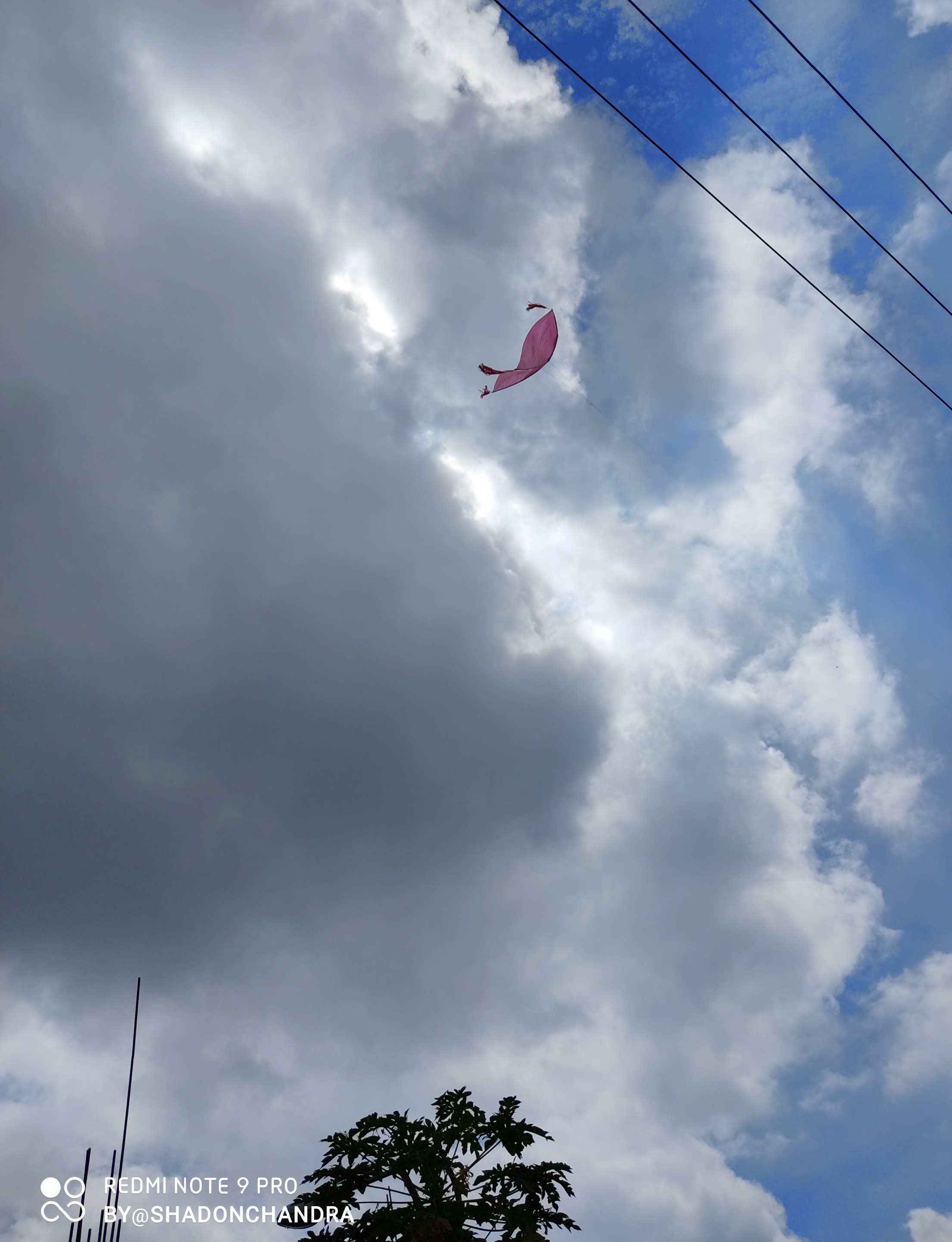 IMG_20200708_031105.jpg