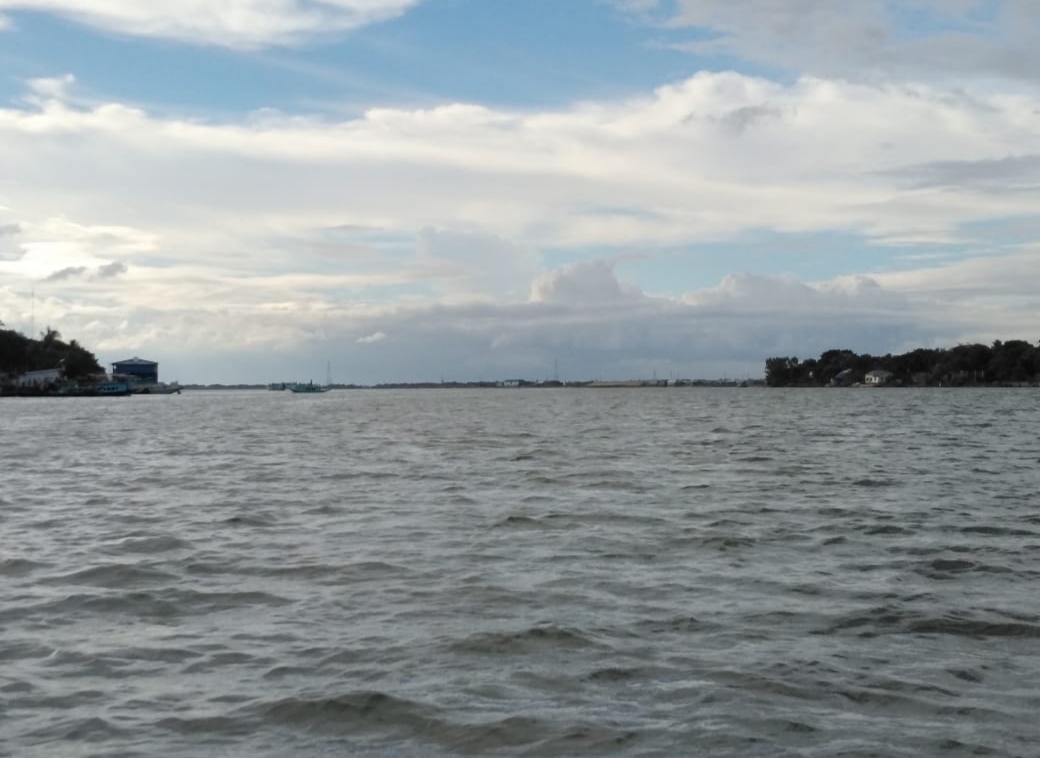 IMG_20200819_011709.jpg