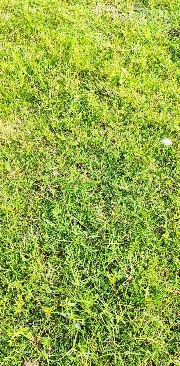 IMG_20200815_184839.jpg