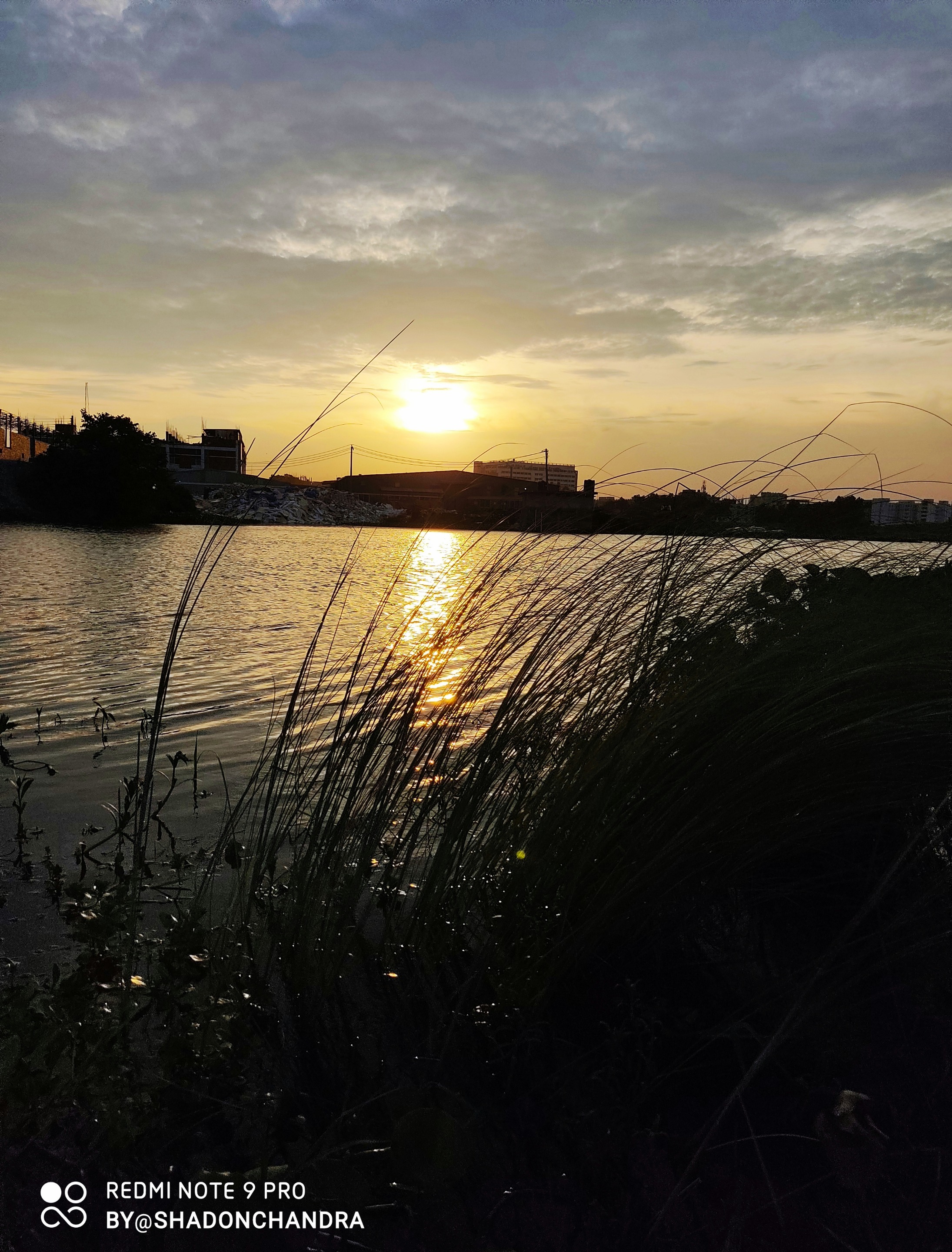 IMG_20200714_081407.jpg