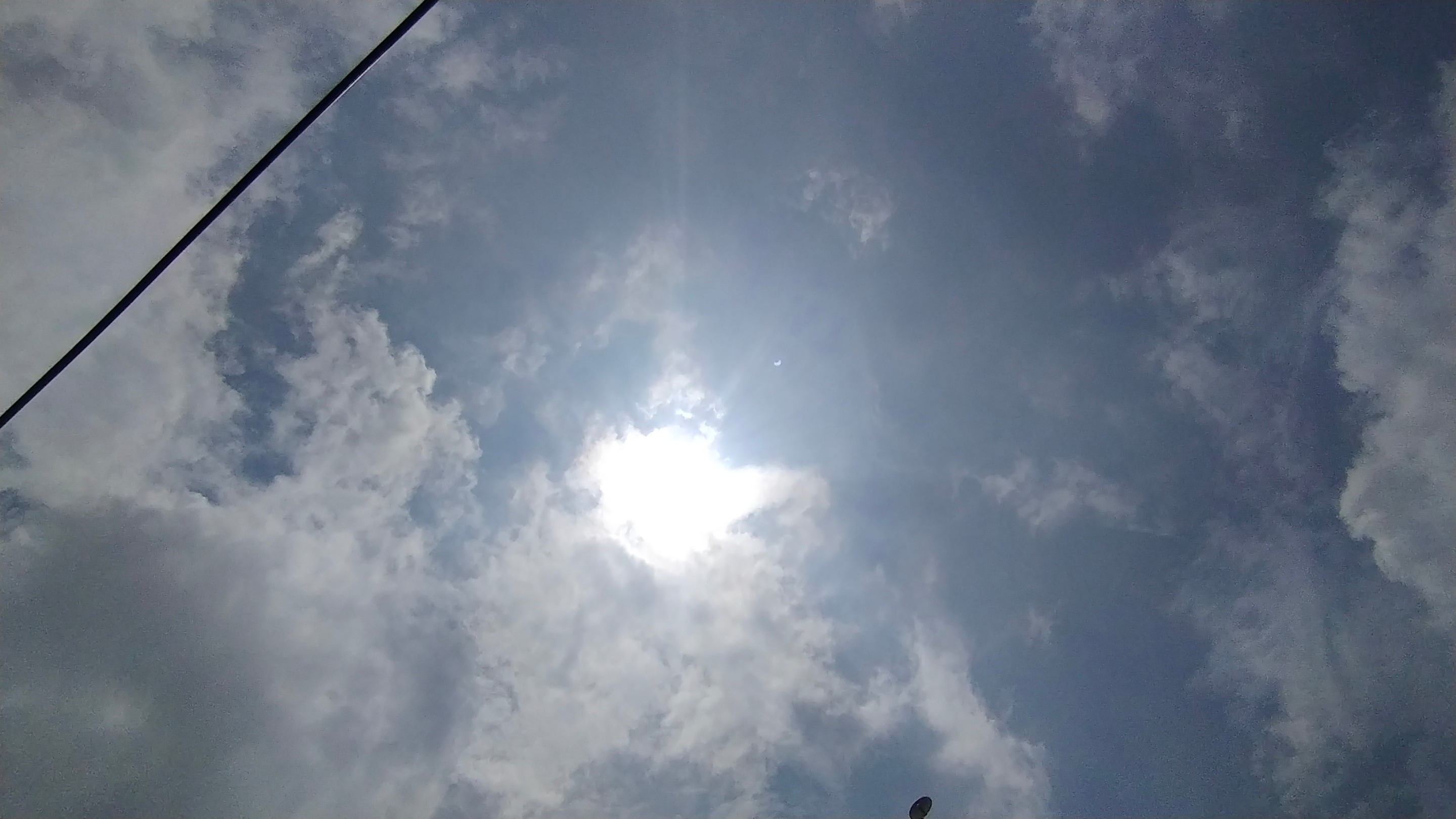 IMG_20200621_122555.jpg