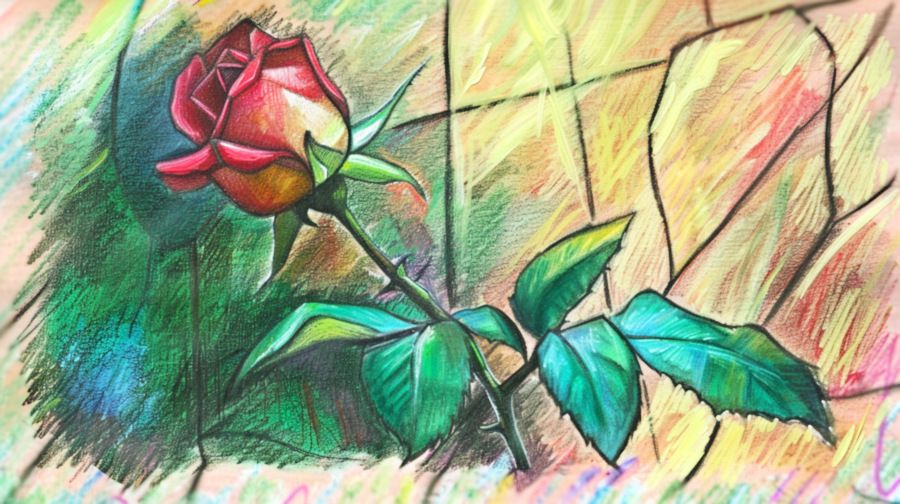sw 400 rose.jpg