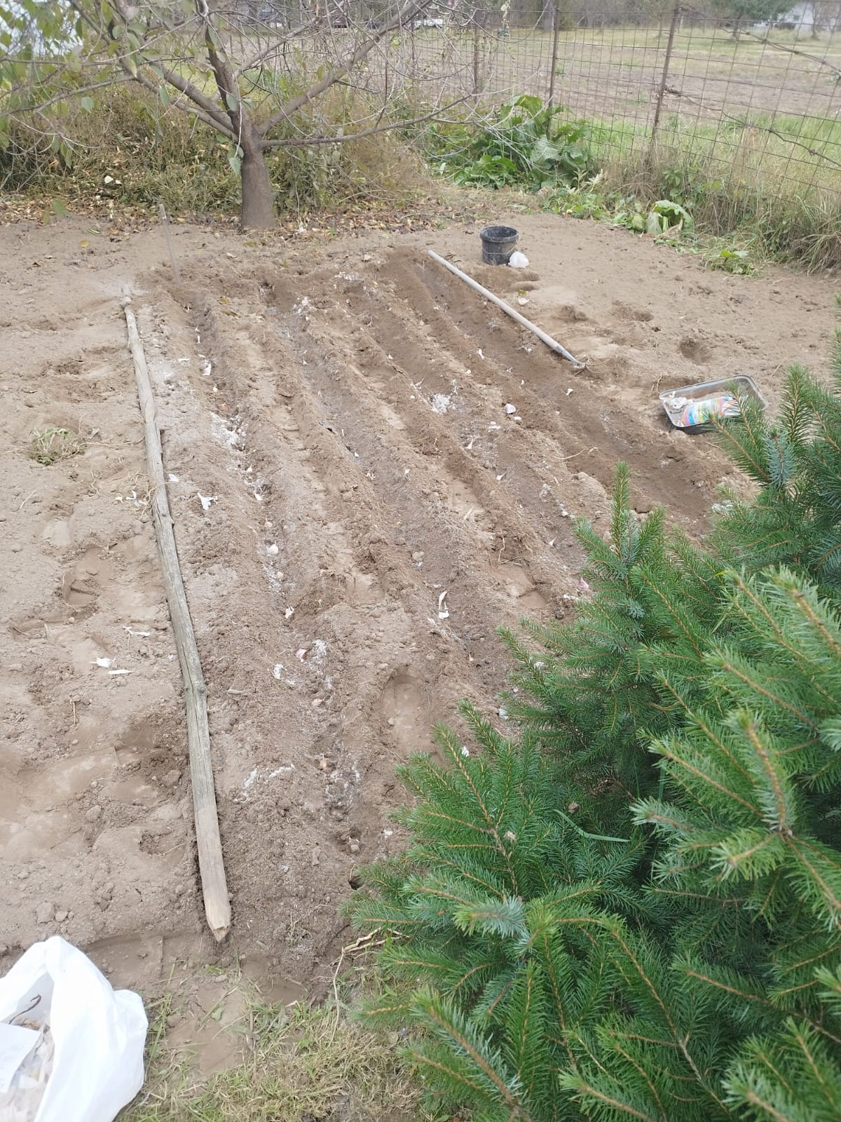 Зображення WhatsApp, дата_ 2025-10-24 о 14.03.07_3cb4f136.jpg