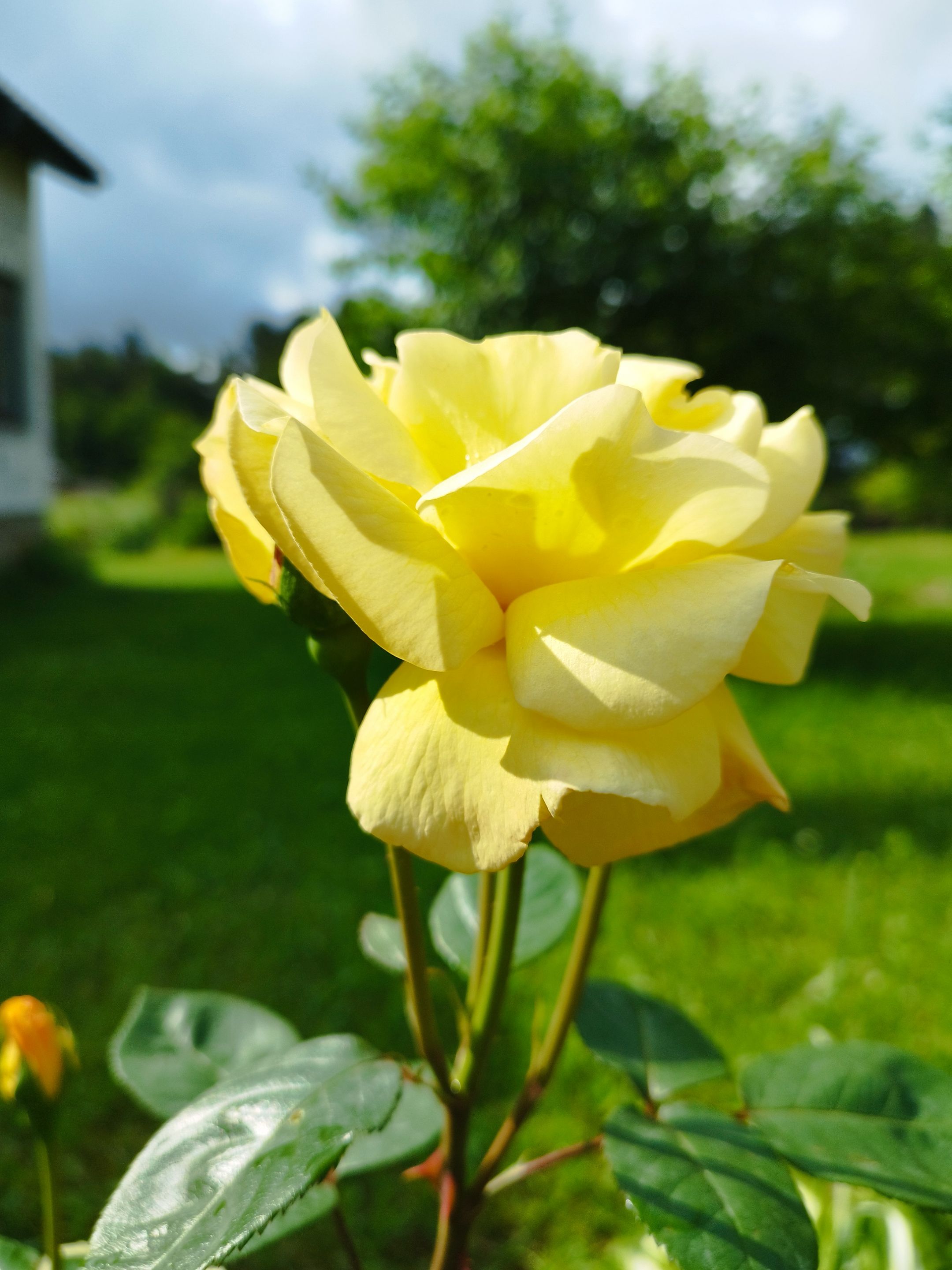 IMG_20250609_094959.jpg