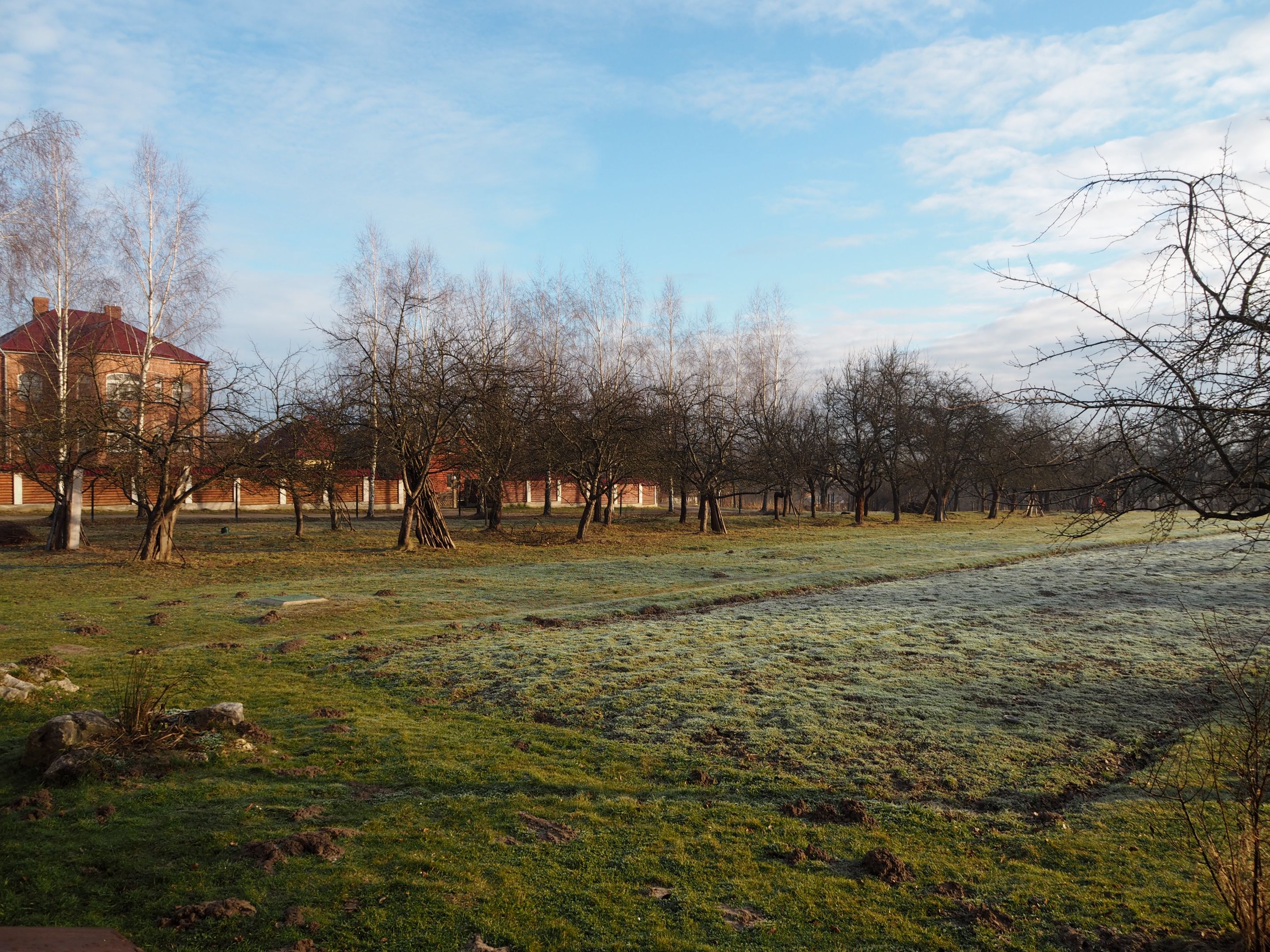 P2153182.JPG