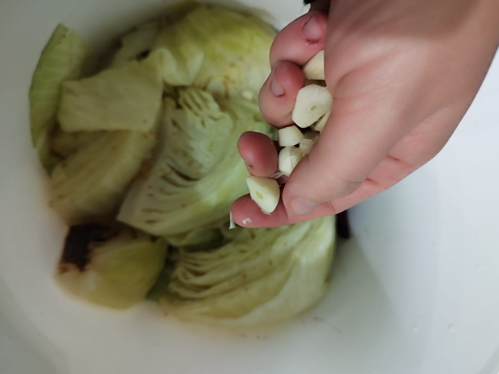 Зображення WhatsApp, дата_ 2025-10-28 о 10.08.41_77ba23dc.jpg