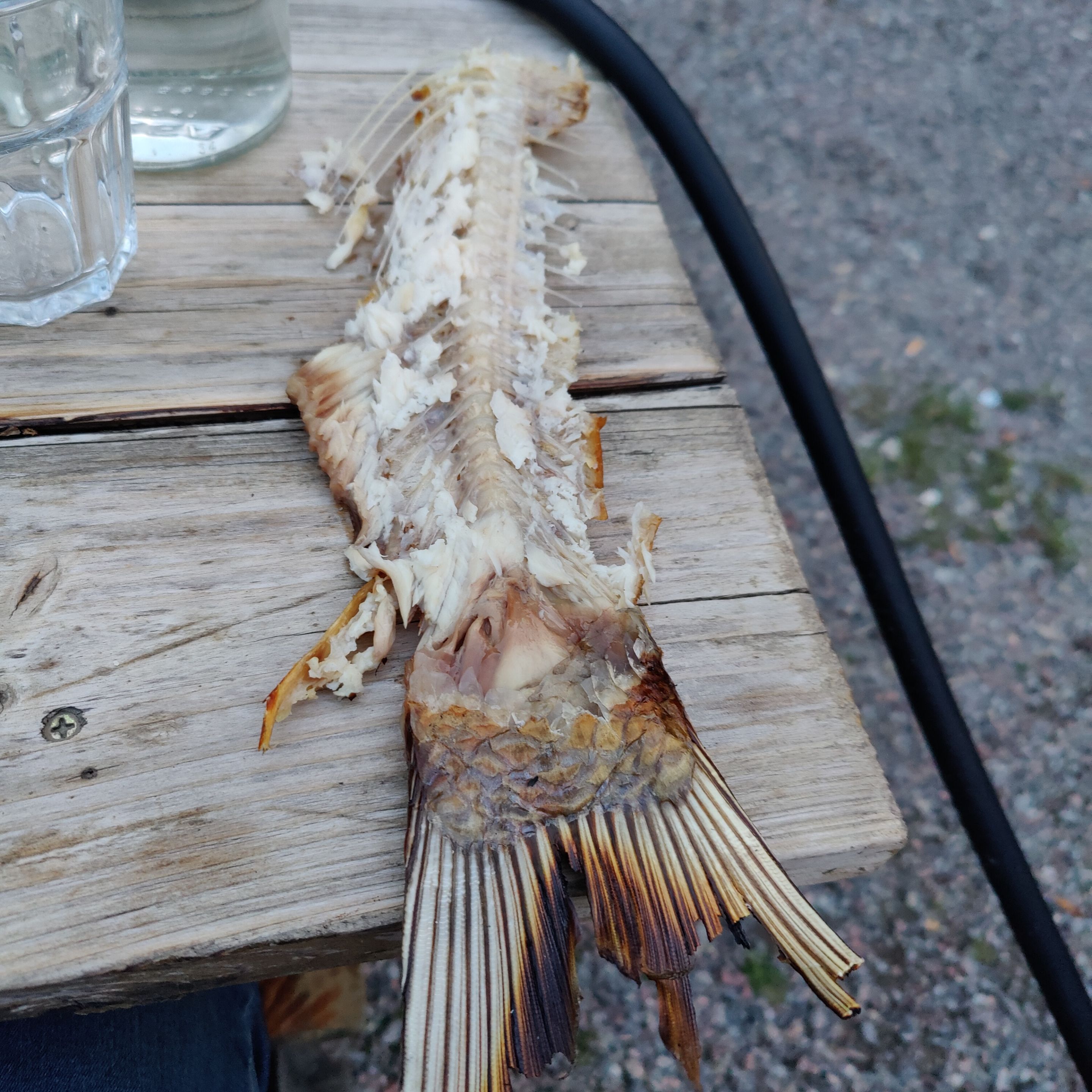 Photo taken by Shahzad Ansari through Oneplus 9 Pro