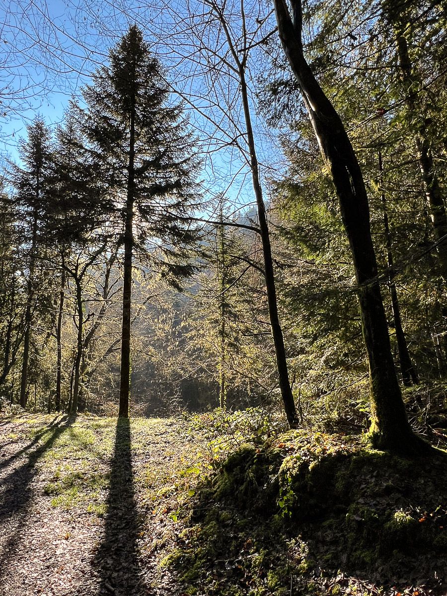 wielandingen-24.jpg