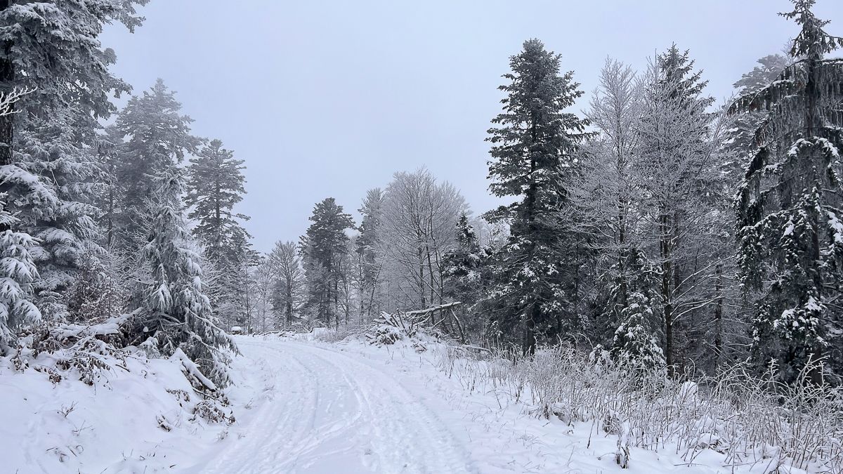 winter-magic-2-2.jpg