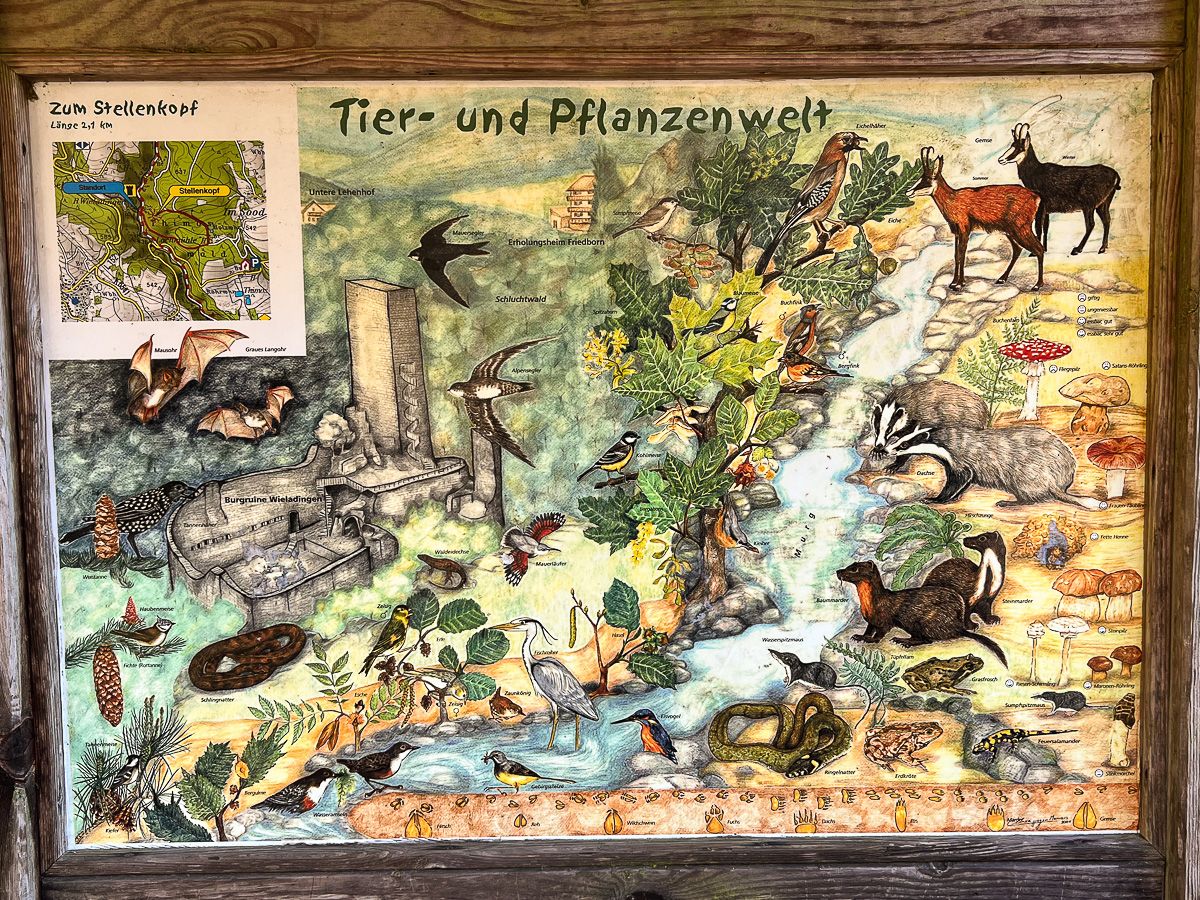 wielandingen-8.jpg