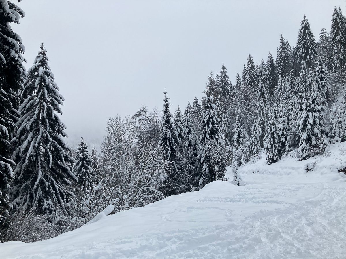 winter-magic-2.jpg