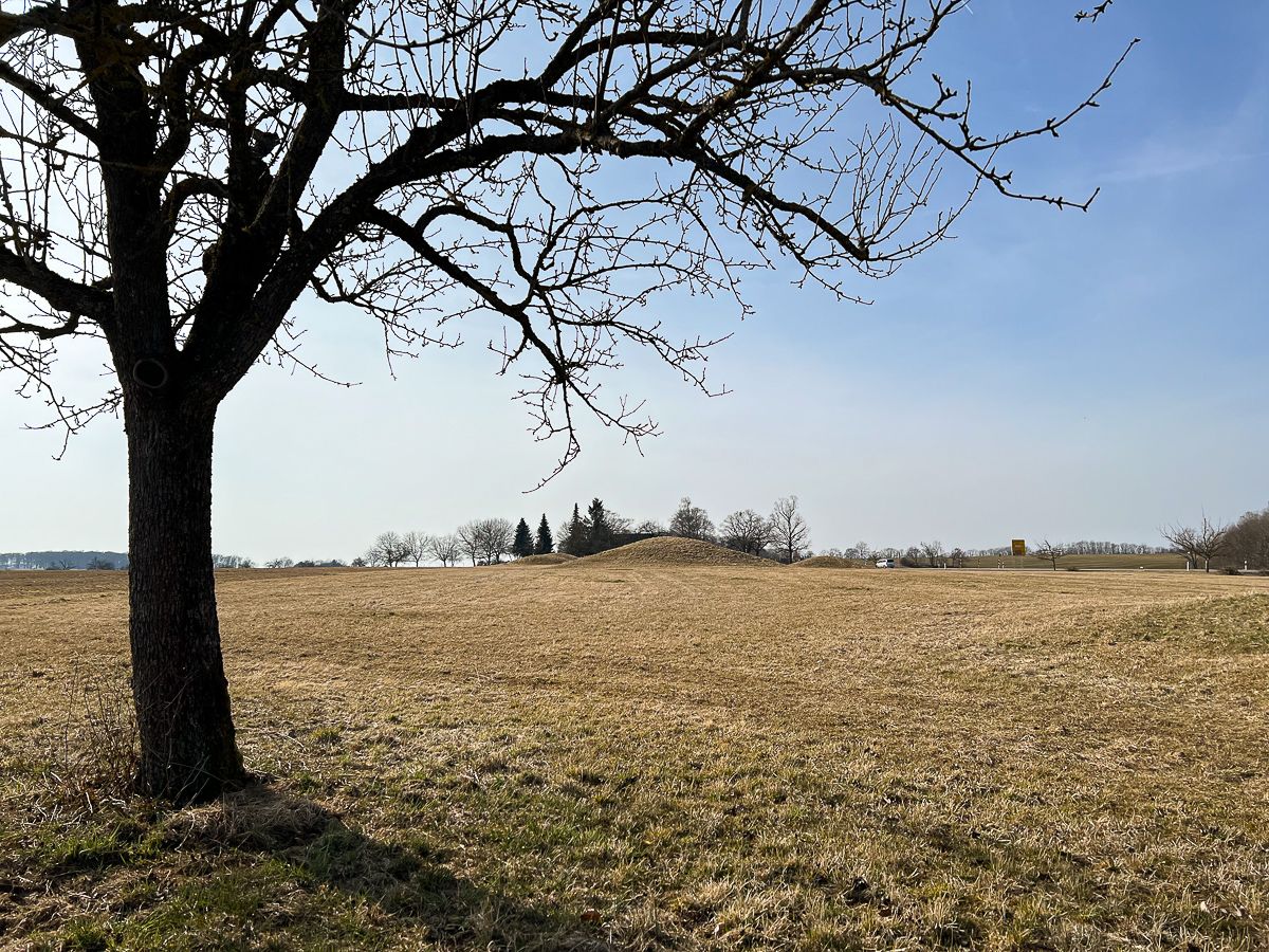swabian-jura-5.jpg