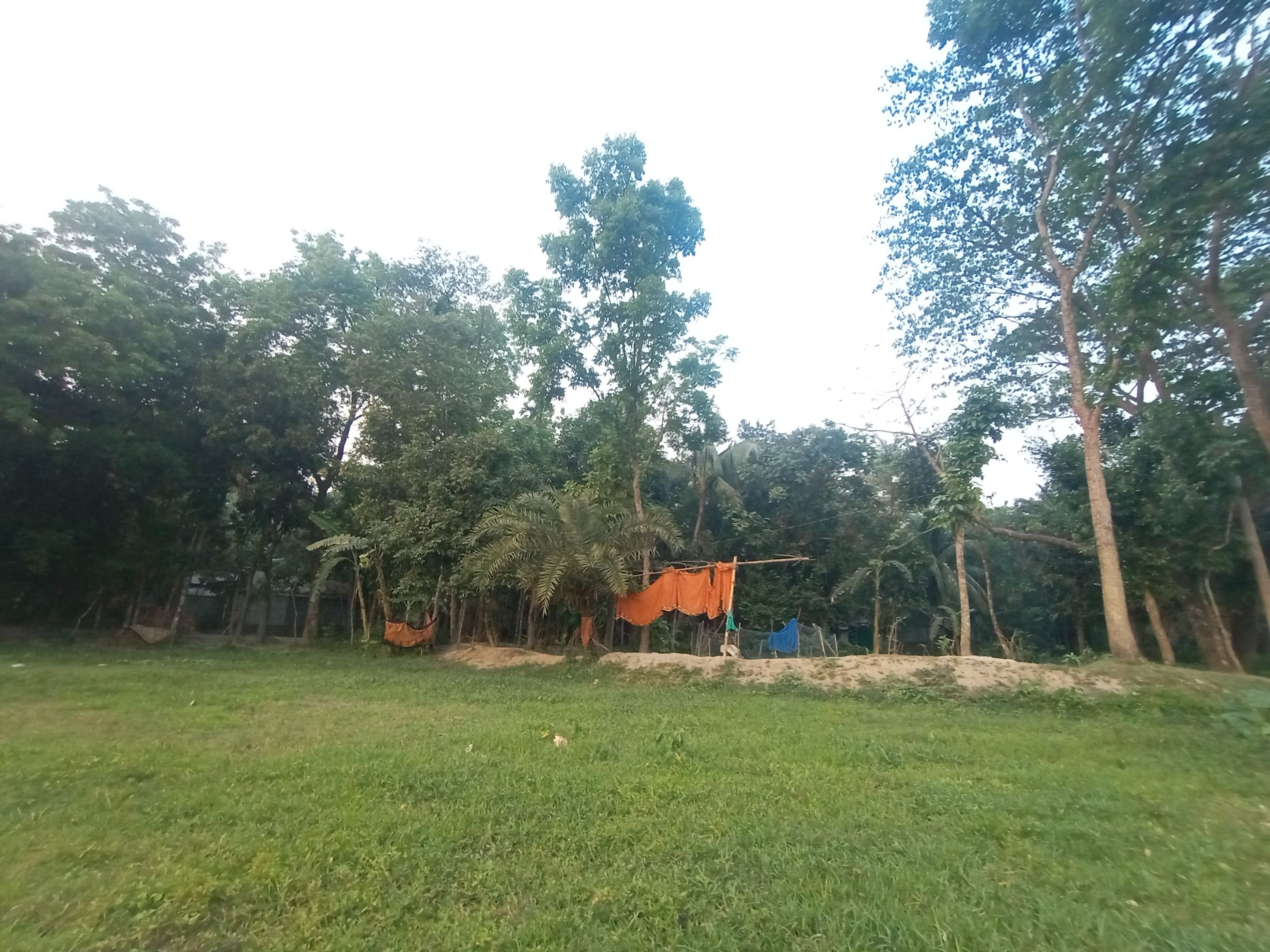 IMG_20240413_180604.jpg/