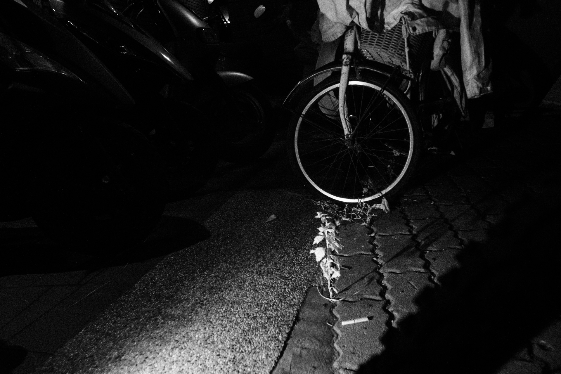 20250817-Canon EOS 450D-IMG_3523.jpg