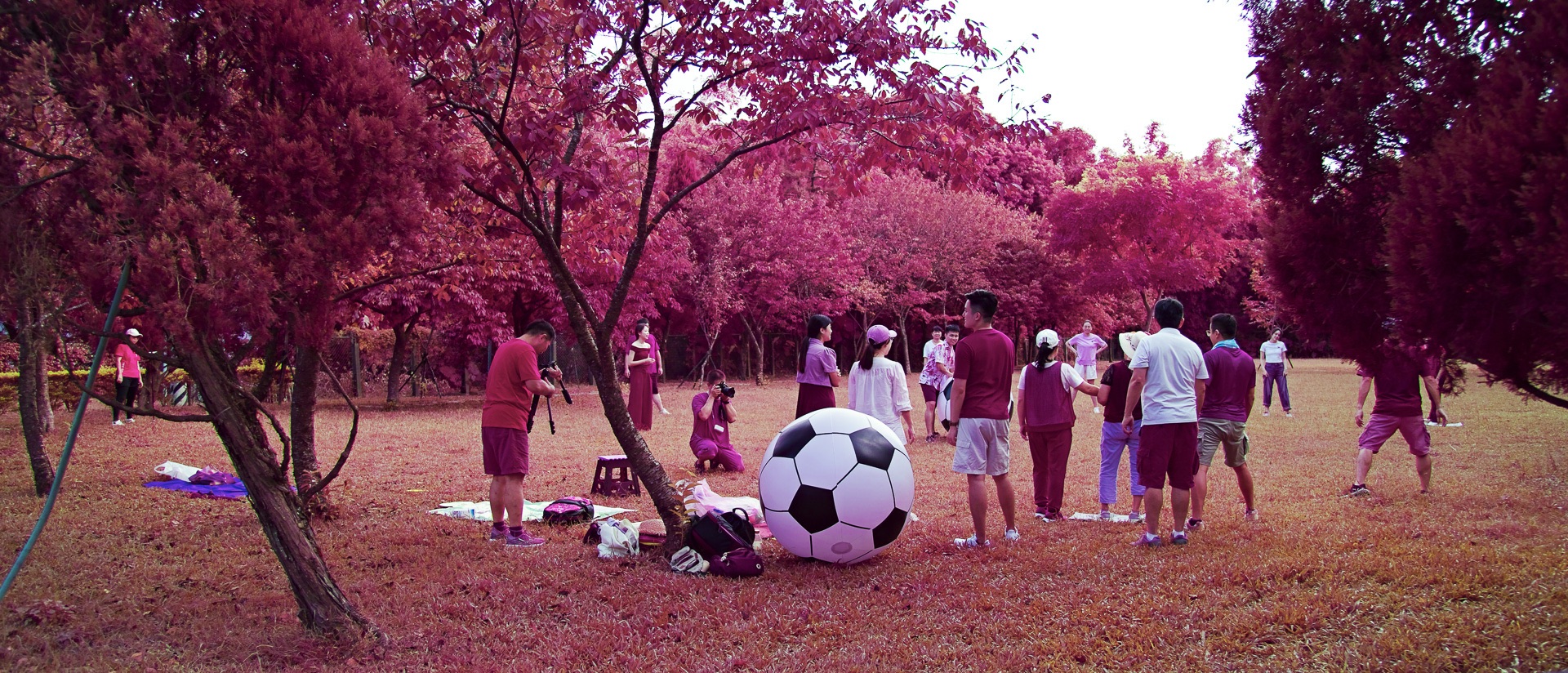 20250823-sd Quattro-SDQ_4174.jpg