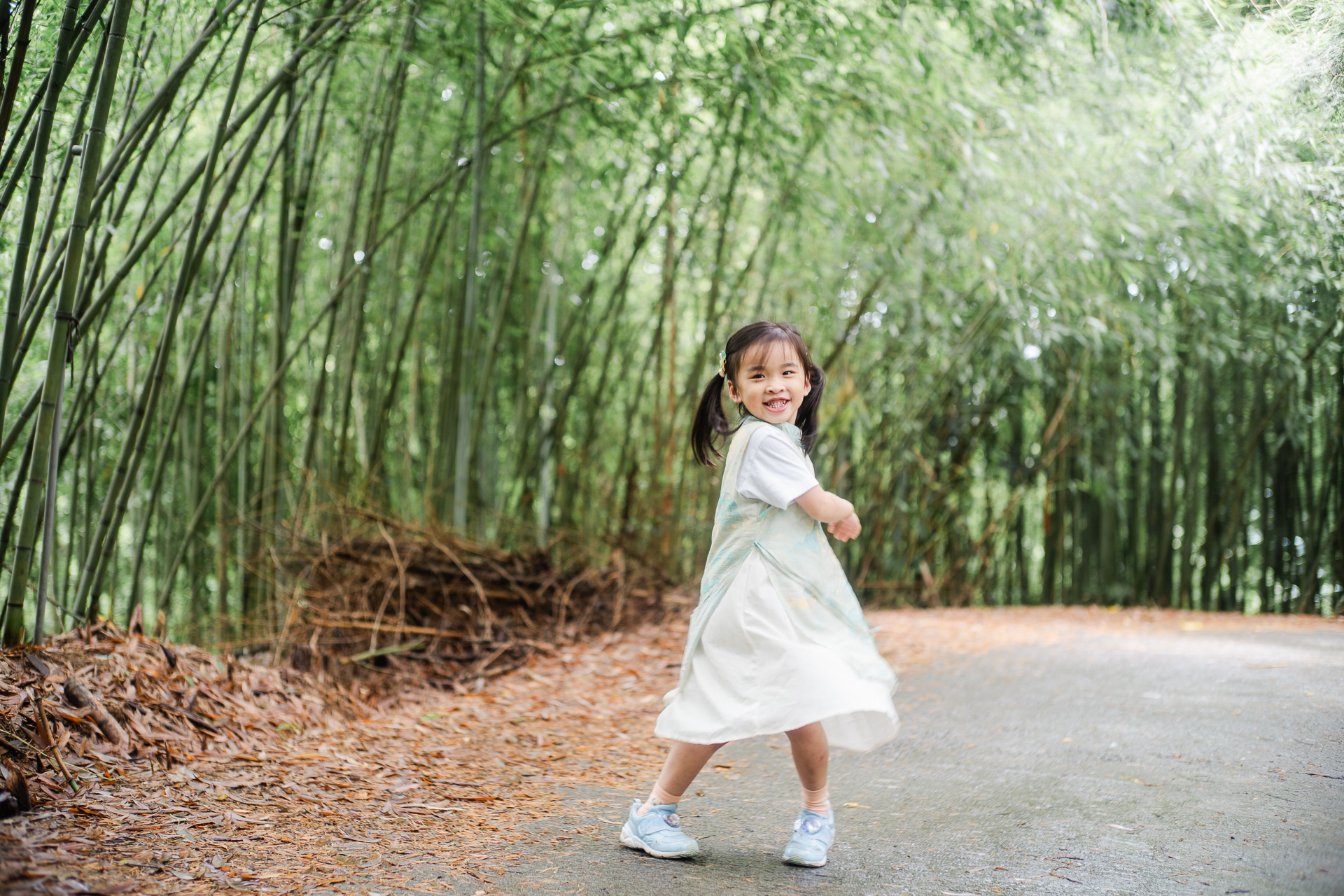 20250530-ILCE-7M3-A73…
Payout: 0.000 HBDBamboo Forest
2025-09-17 16:06![20250530-ILCE-7M3-A7307928.jpg