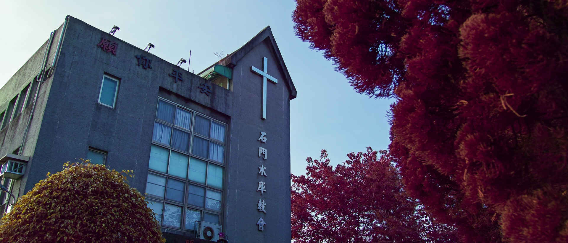 20250823-sd Quattro-SDQ_4190.jpg