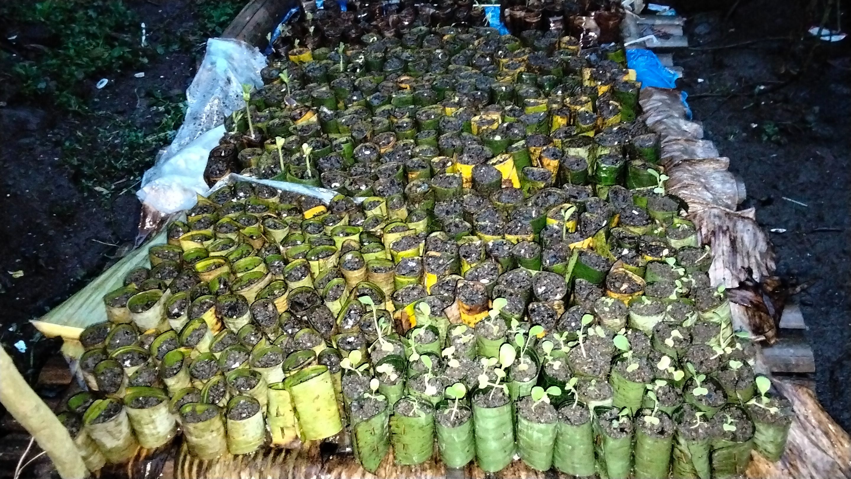 IMG20250915174350.jpg