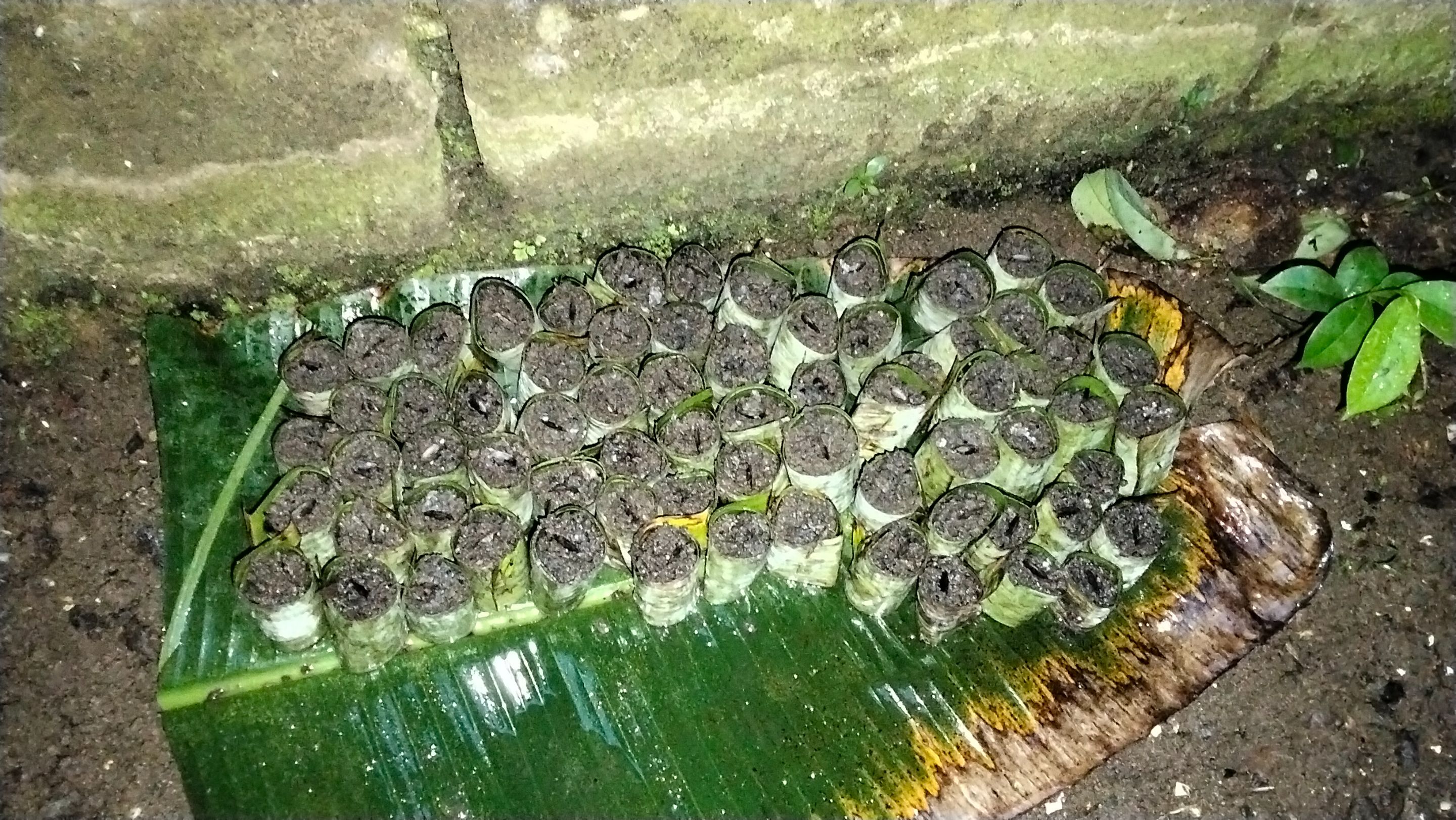 IMG20250915174326.jpg