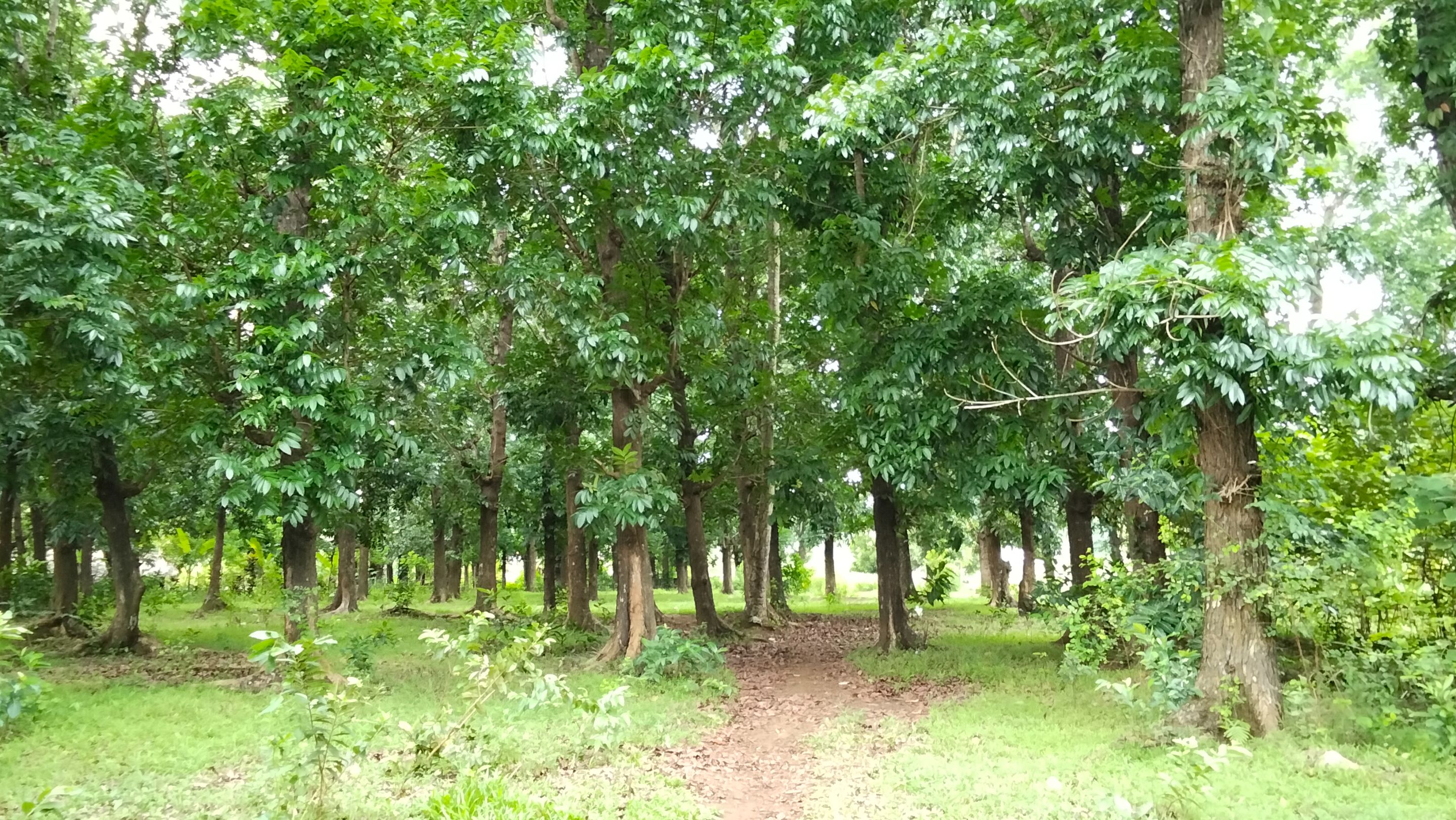 IMG20250623095057.jpg