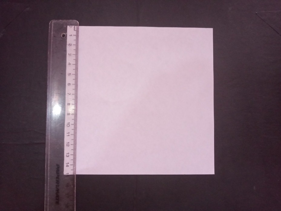 Imagen1.jpg