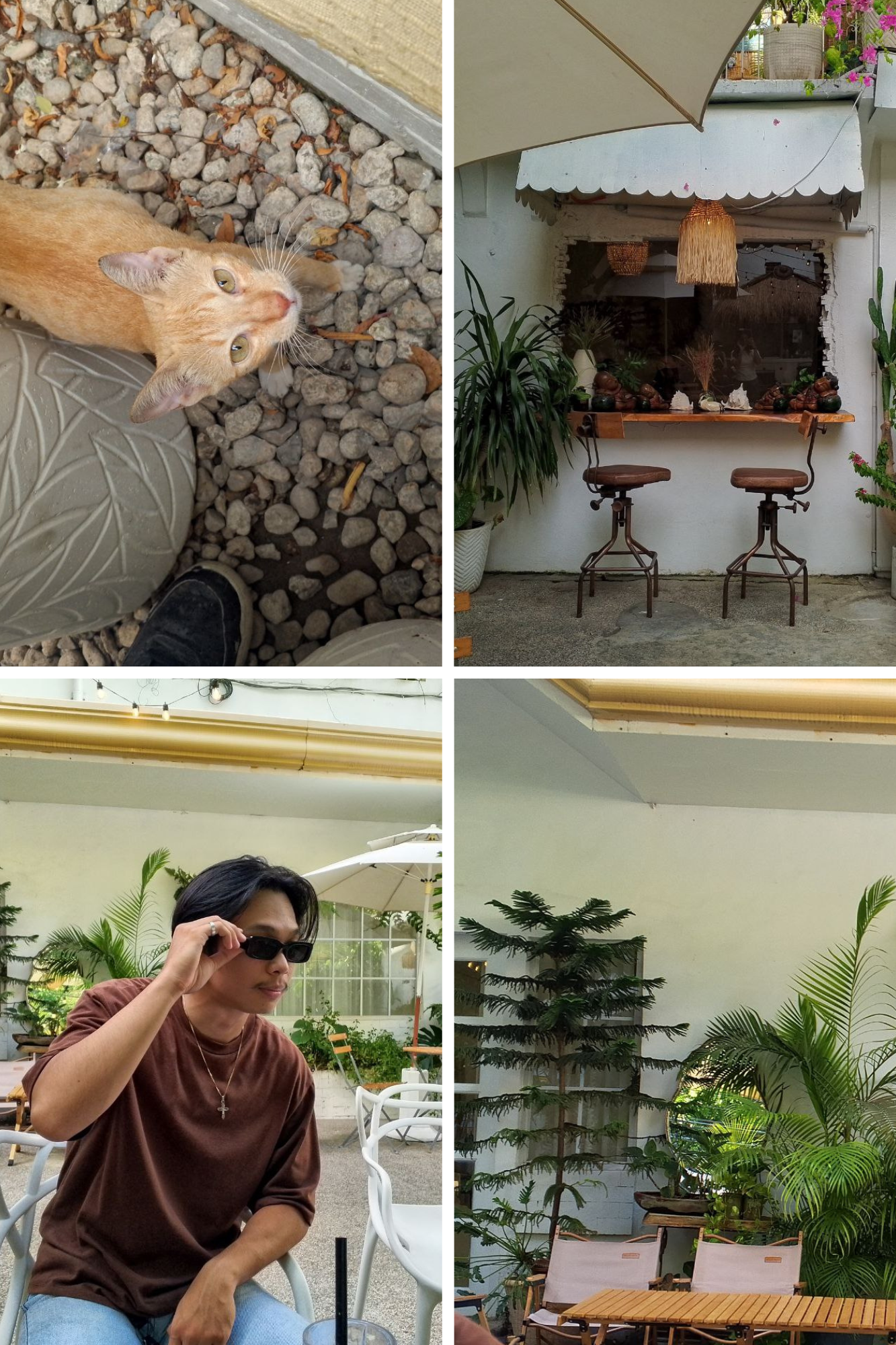 Beige Minimalist Mood Photo Collage.png