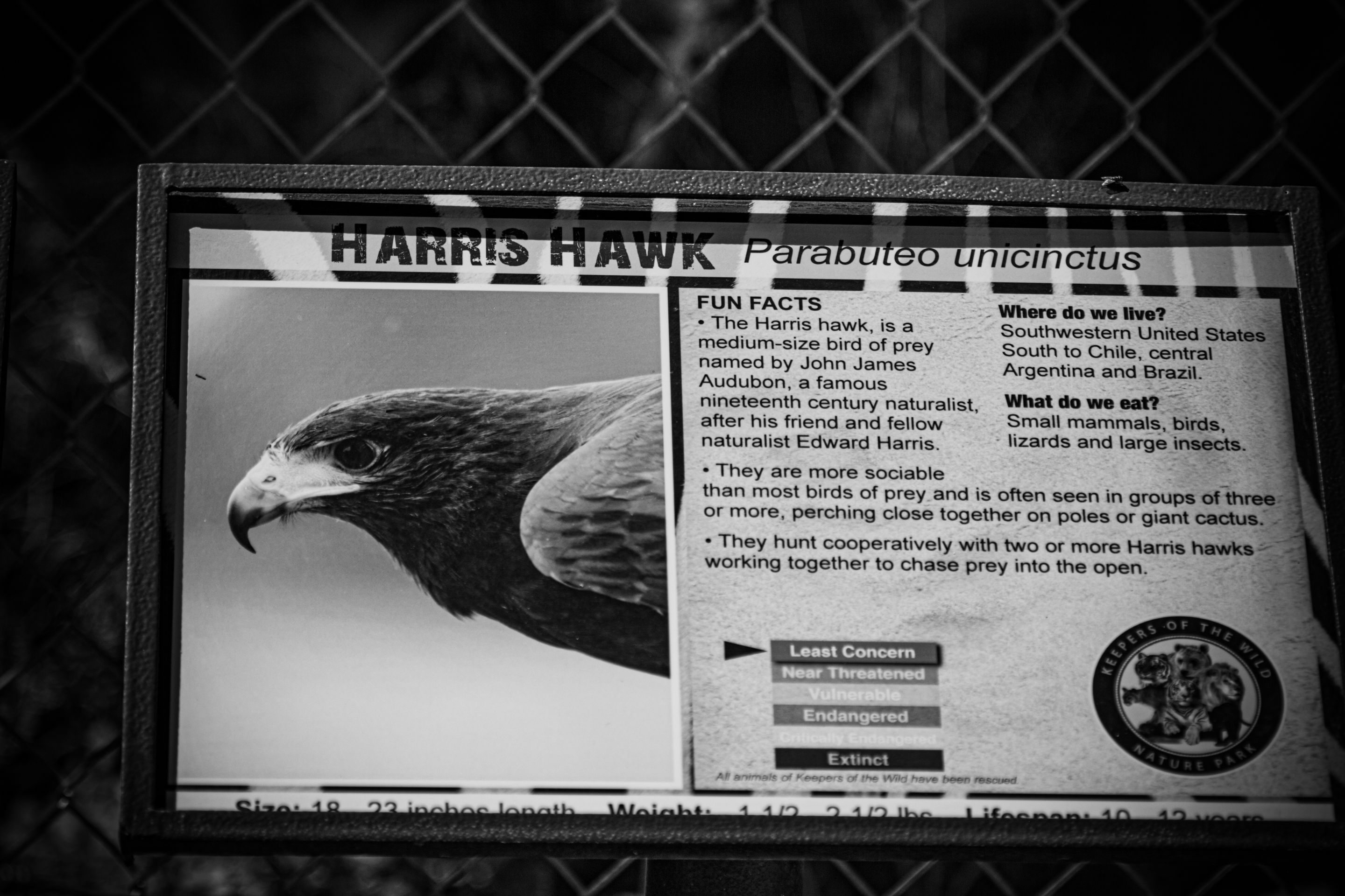 IMG_4705 (2).jpg