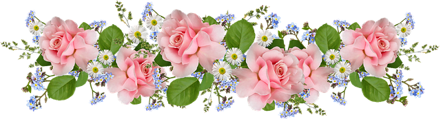 flowers-5339352_640.png