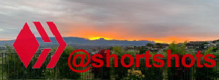 short shots logo.jpg