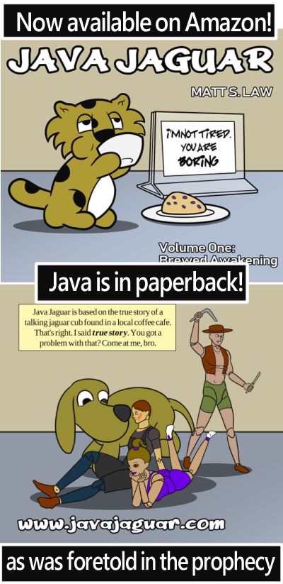 java book ad.jpg