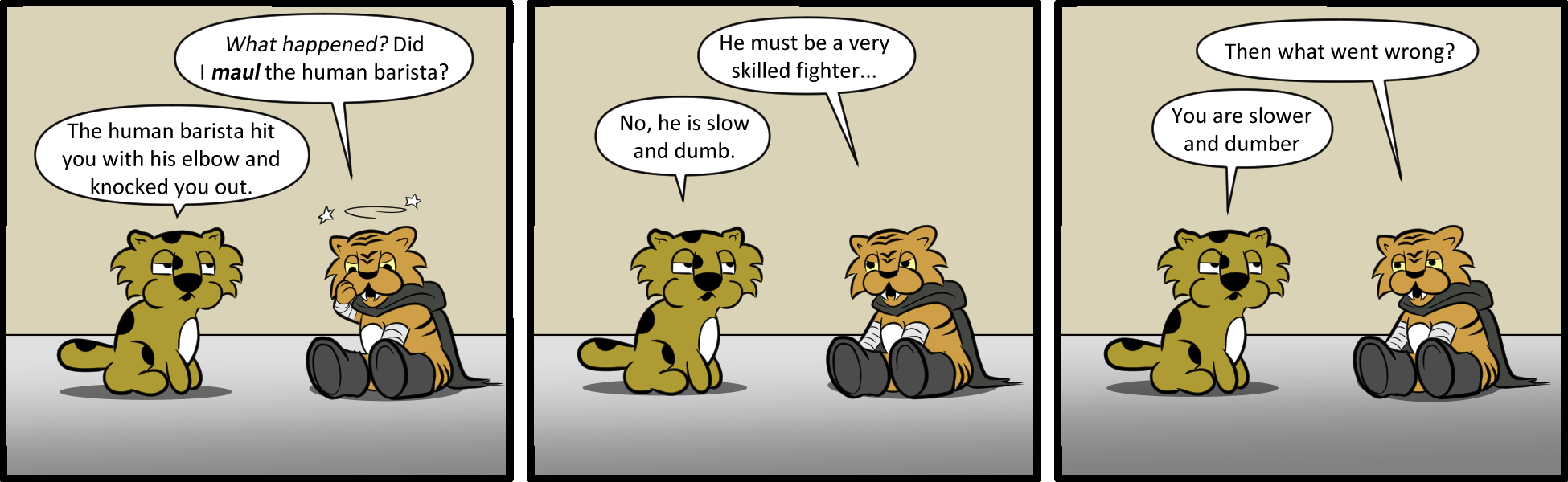 java374 web.png