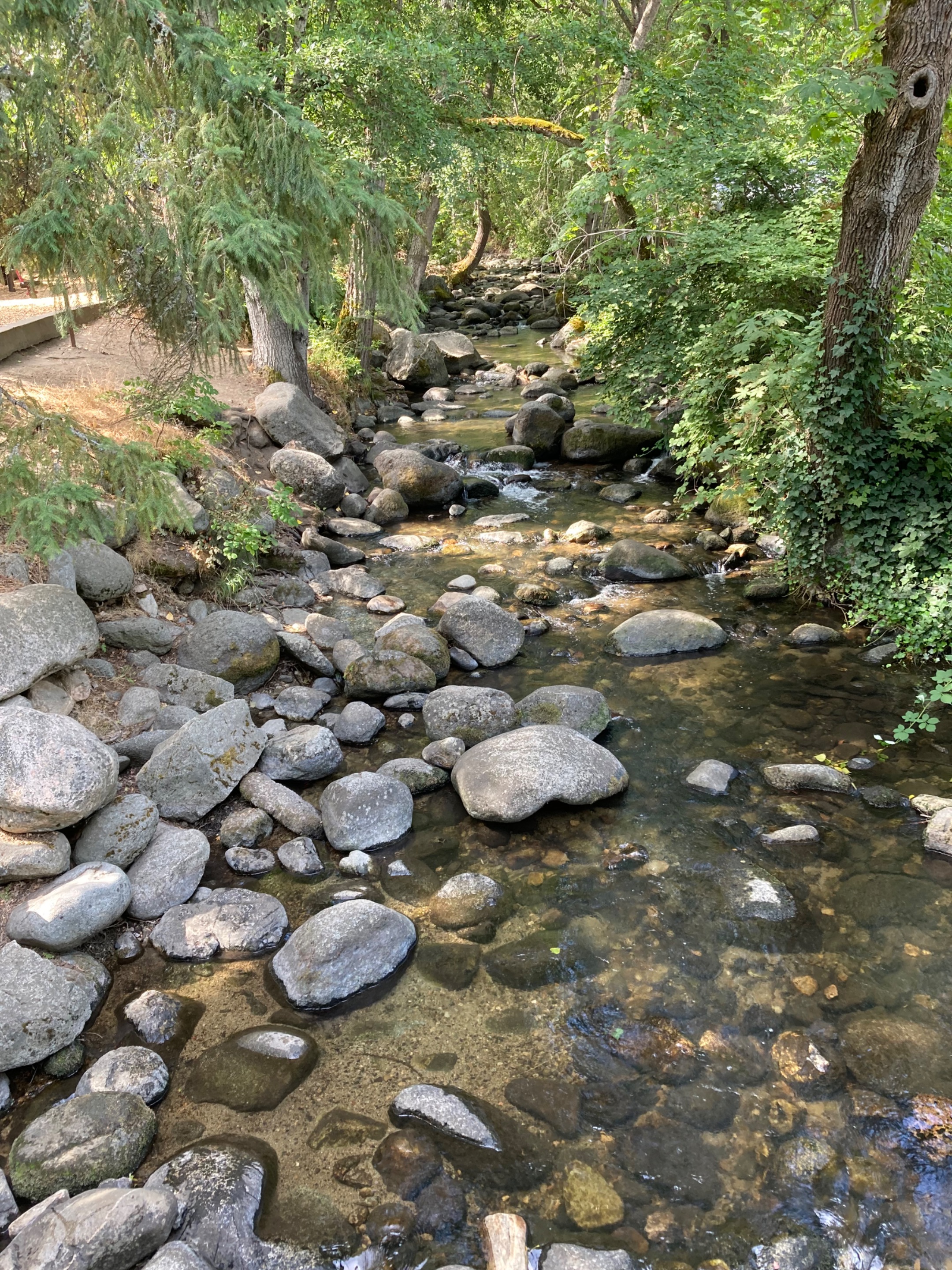 IMG_6767.jpeg