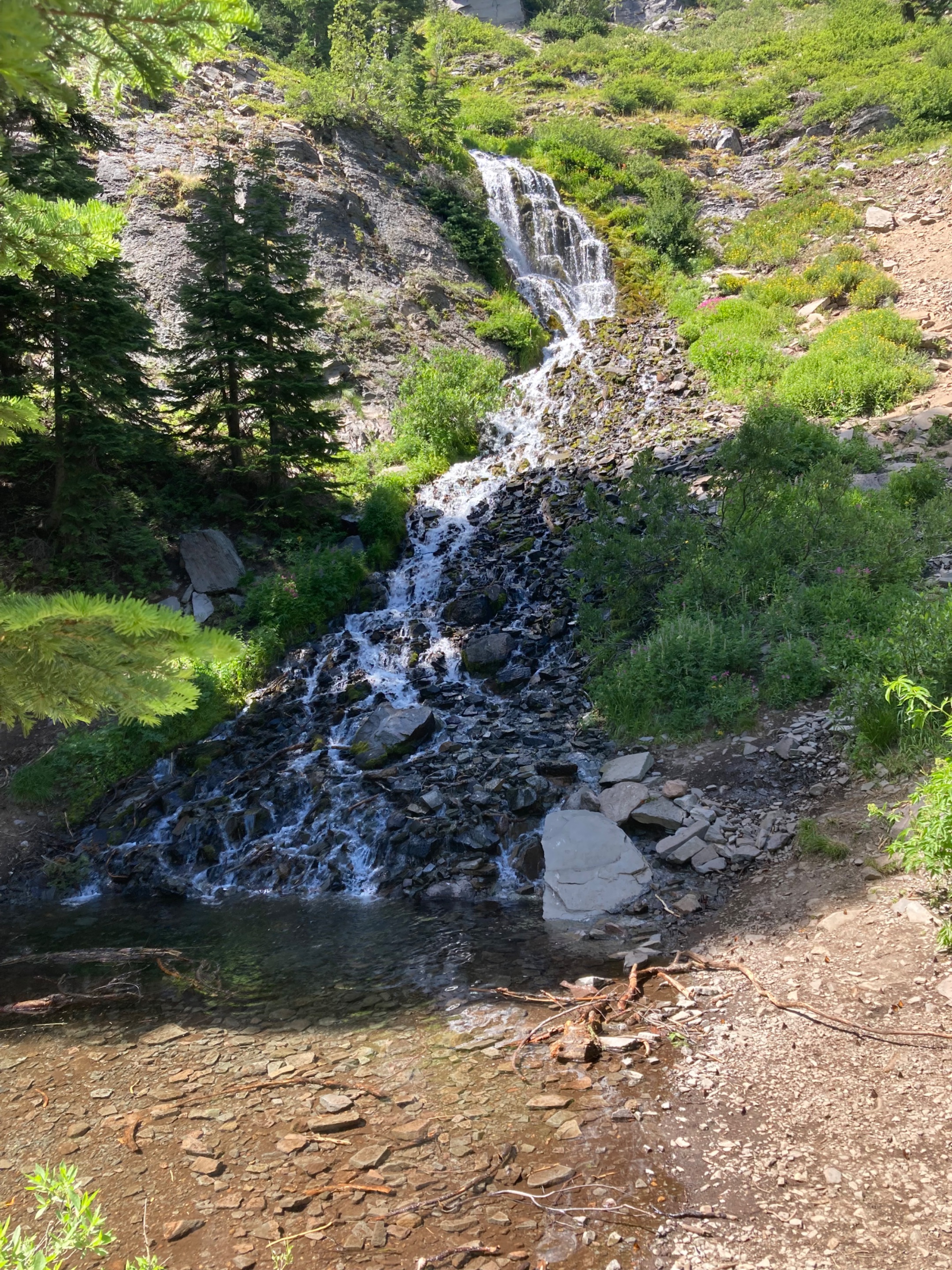 IMG_6612.jpeg