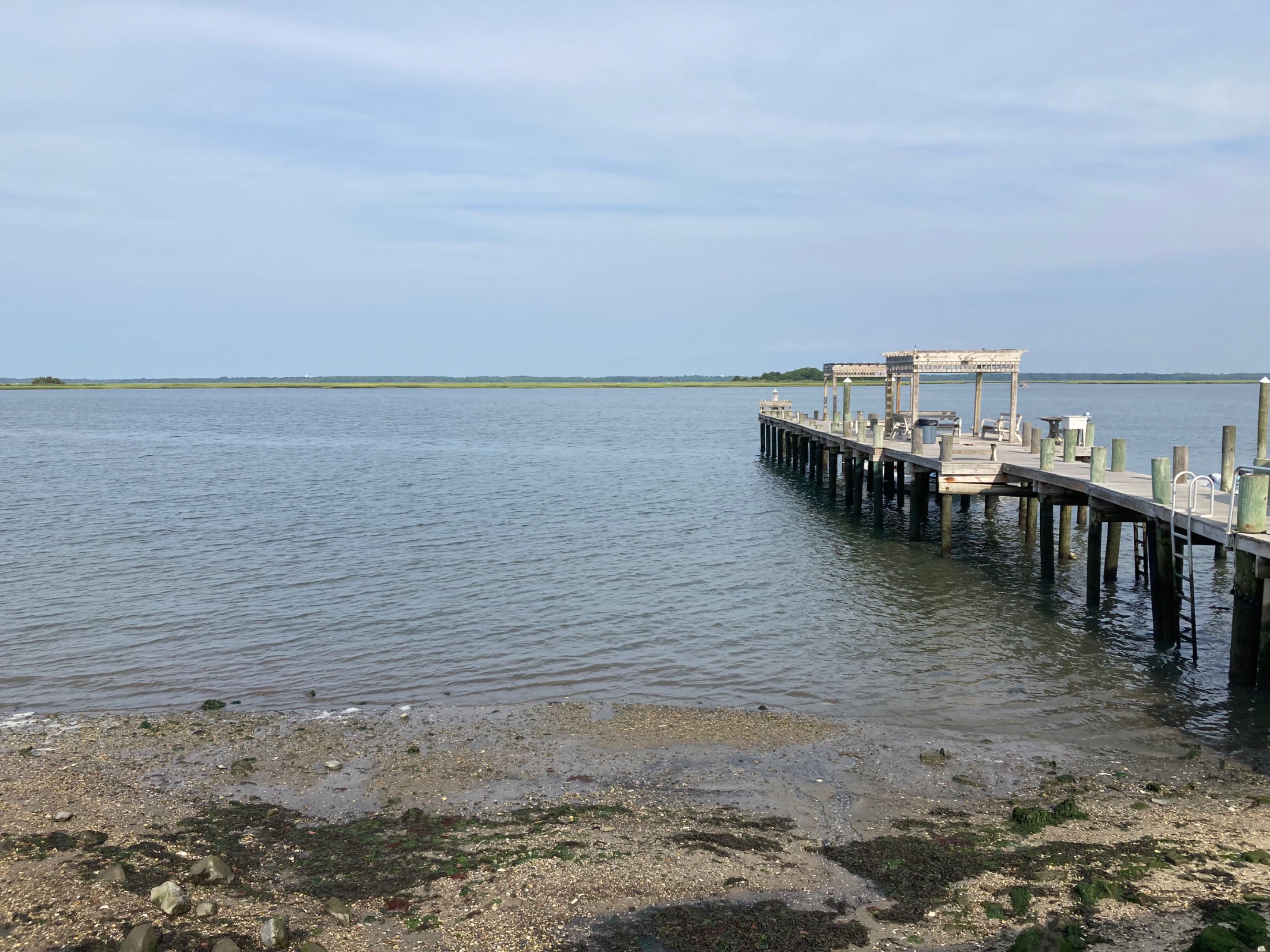 IMG_7004.jpeg