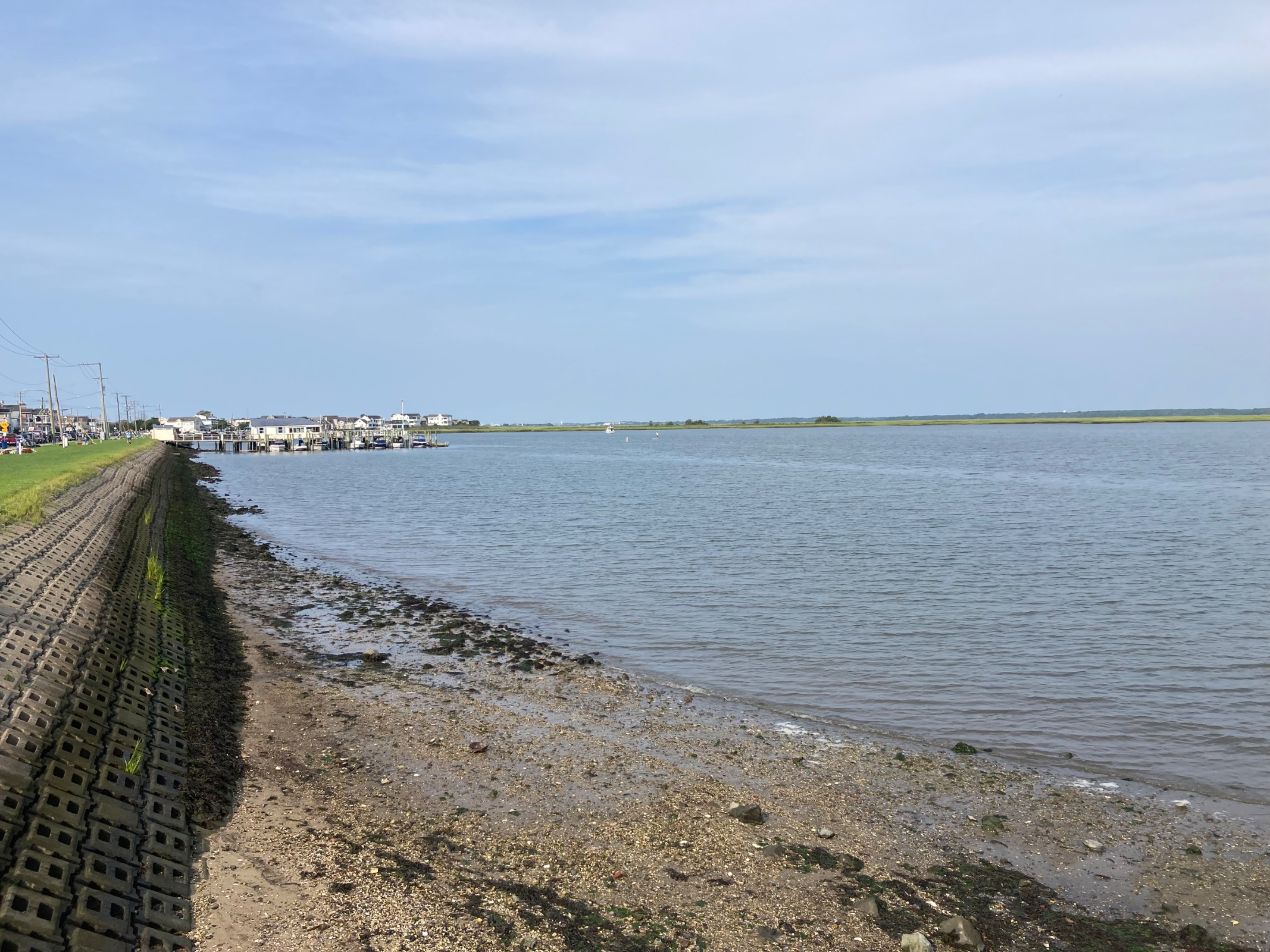 IMG_7005.jpeg