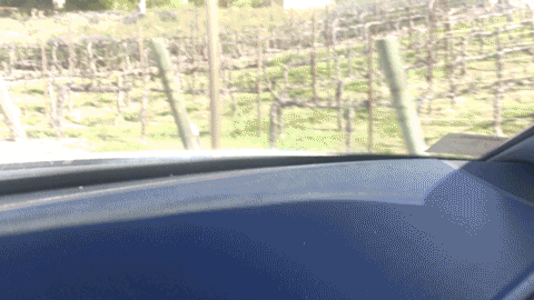 roadtrip3.gif