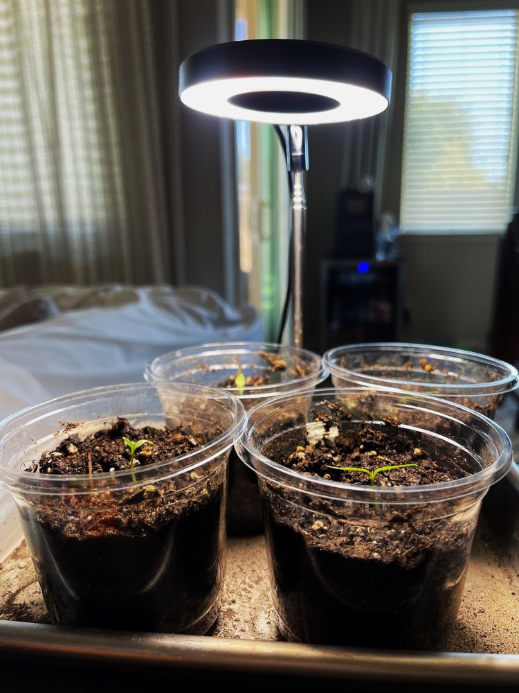 IMG_7425 - Copy (2).JPG