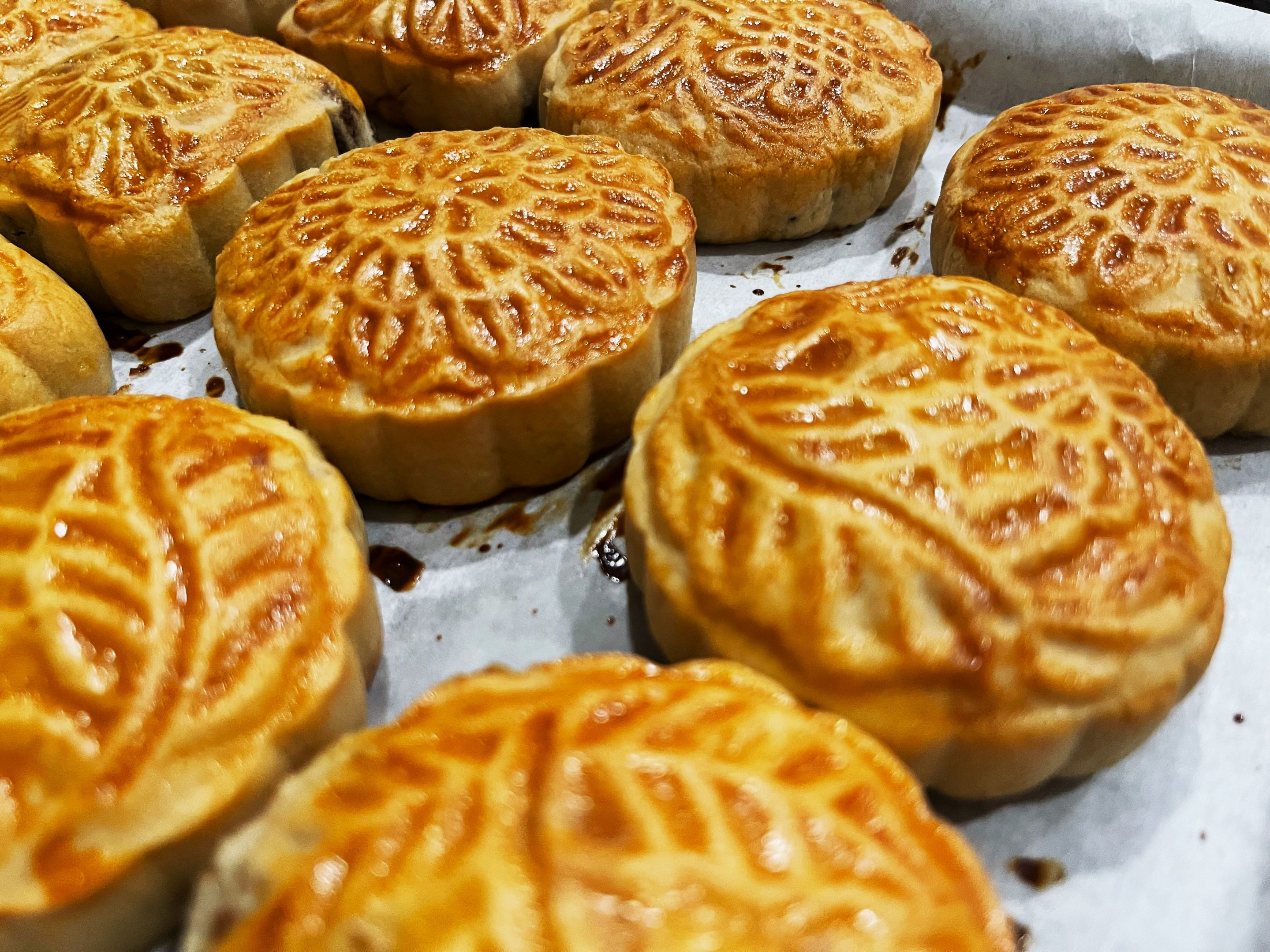 IMG_7254 - Copy (2).JPG