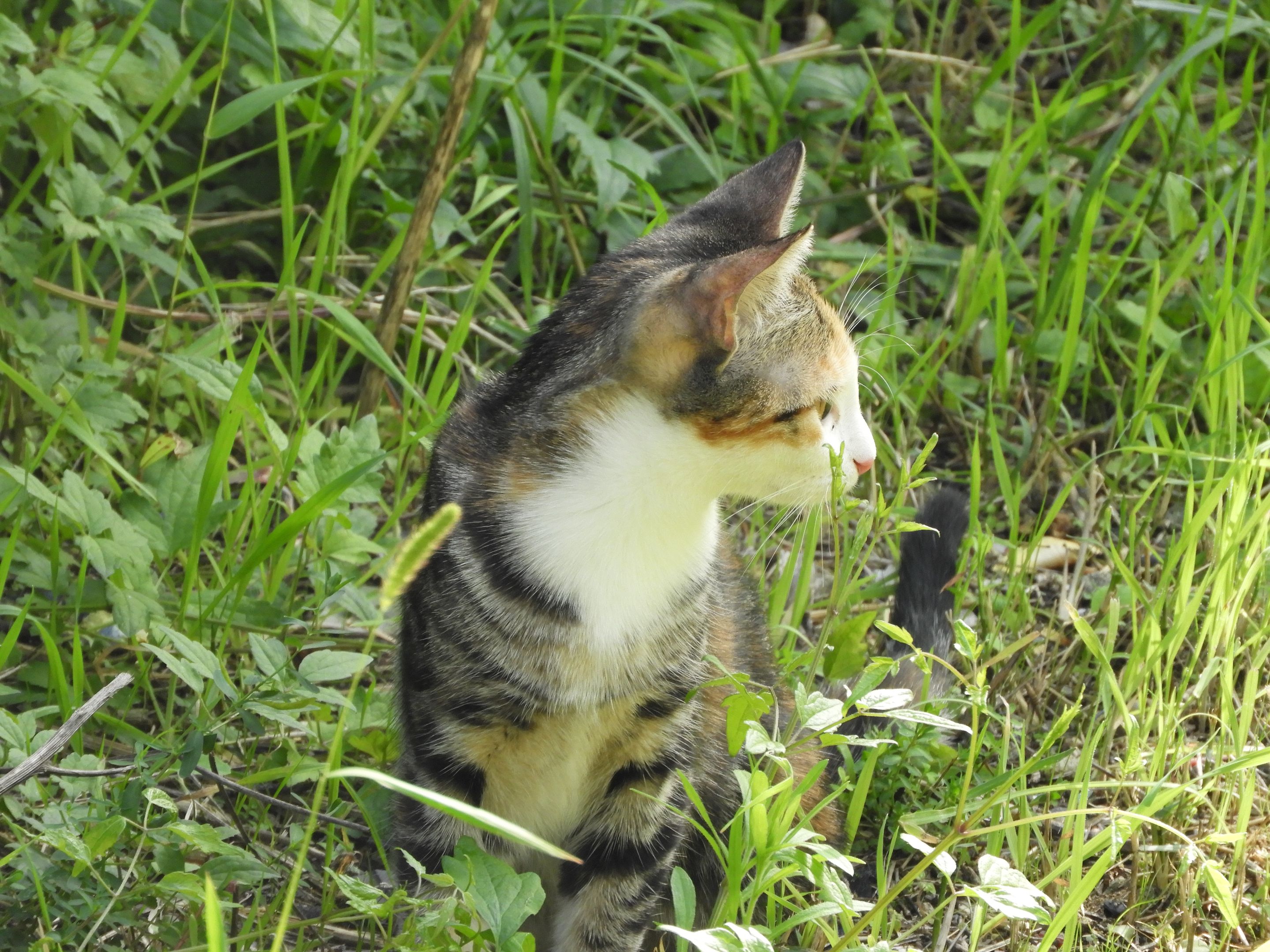 DSCN6996.JPG