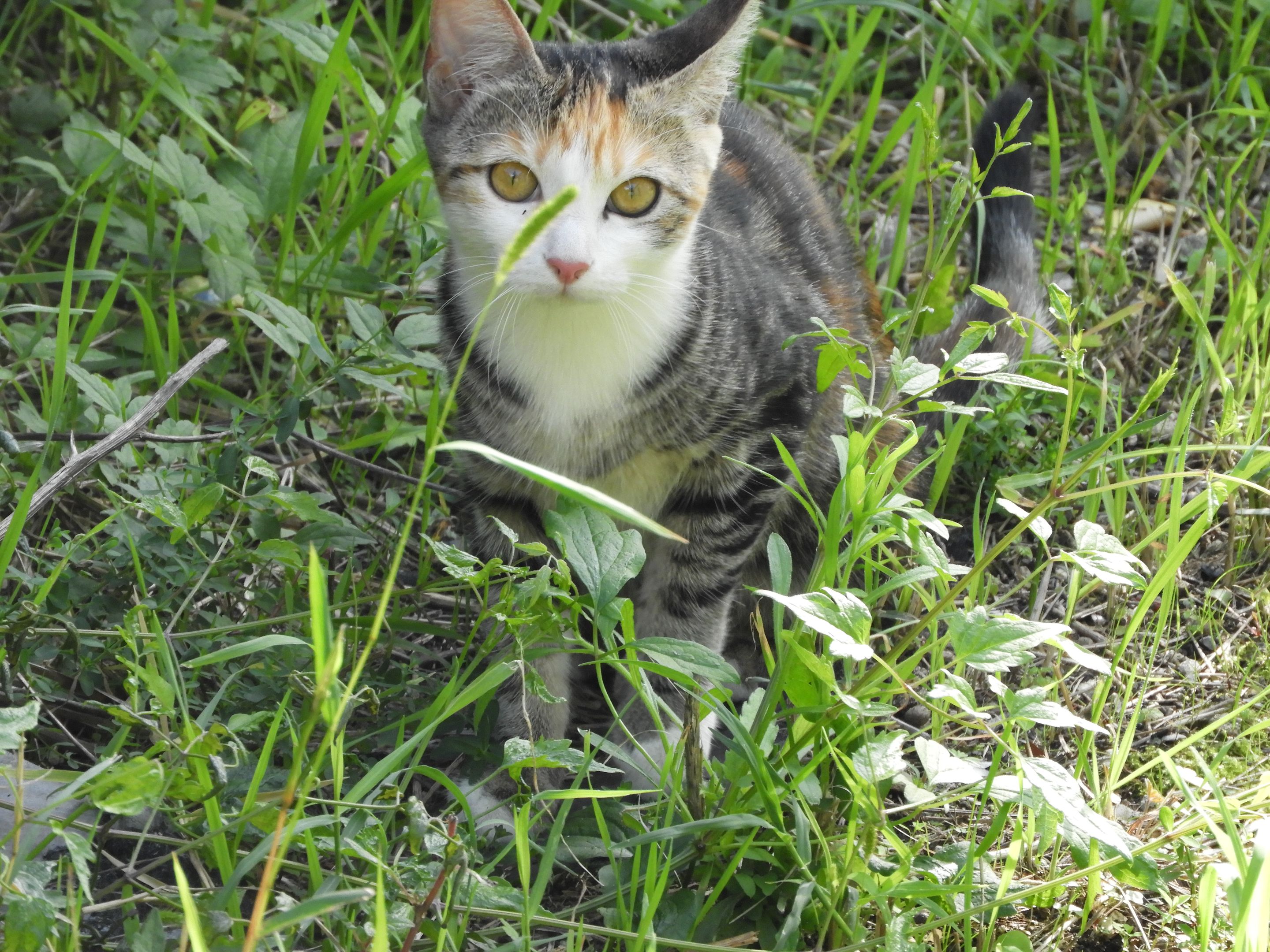DSCN6995.JPG