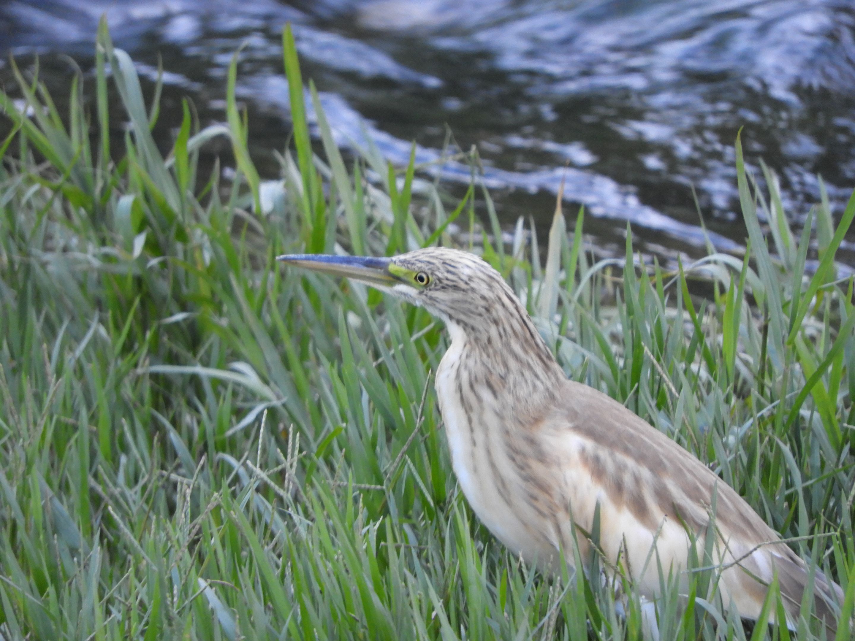 DSCN6357.JPG